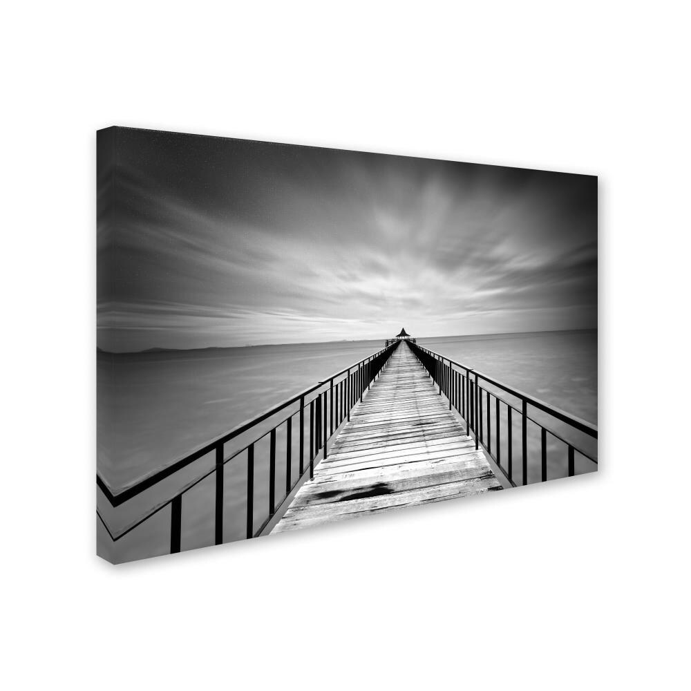 Trademark Fine Art ALI0286-C3047GG Wall-Art - View #2