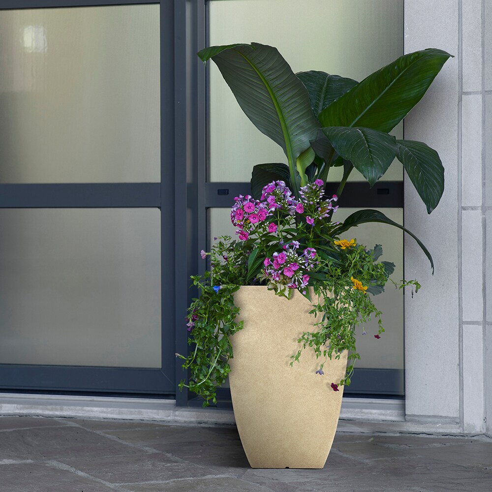 Southern Patio HDR-029885 Planter-Window-Box - View #2