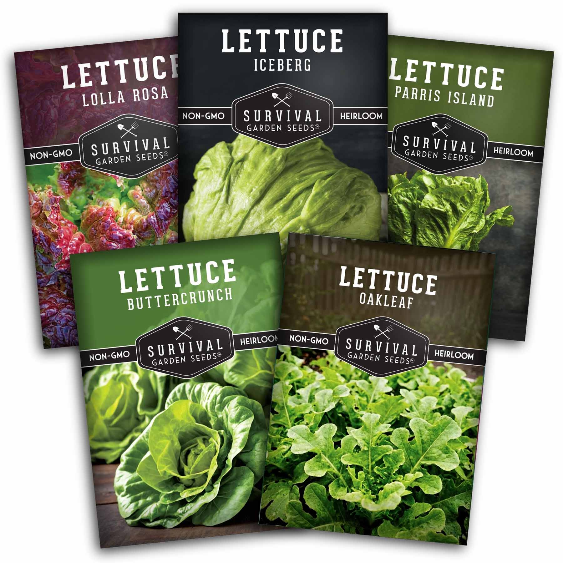 Survival Garden Seeds 5 Variety Heirloom Lettuce Seed Collection