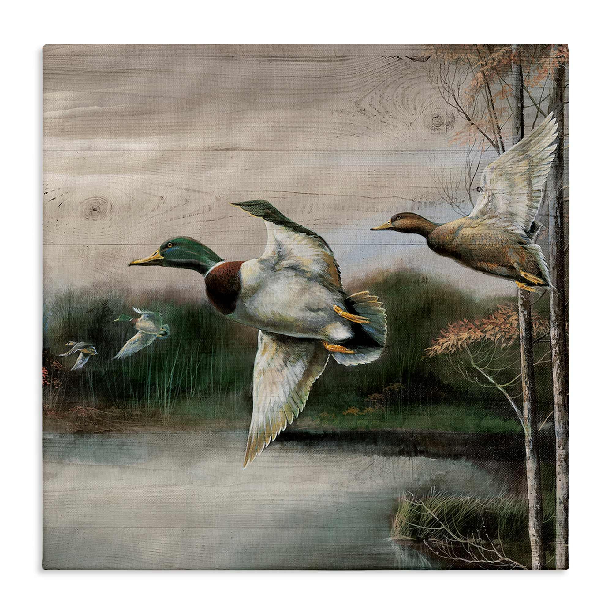 Stupell Industries BS-213-CN-24X24 Flying Ducks in Rustic Nature Canvas design by Ruane Manning
