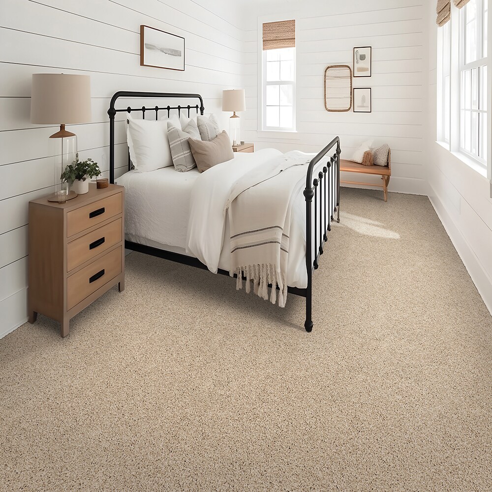 STAINMASTER SS011-L004-0808 Carpet-Samples - View #2