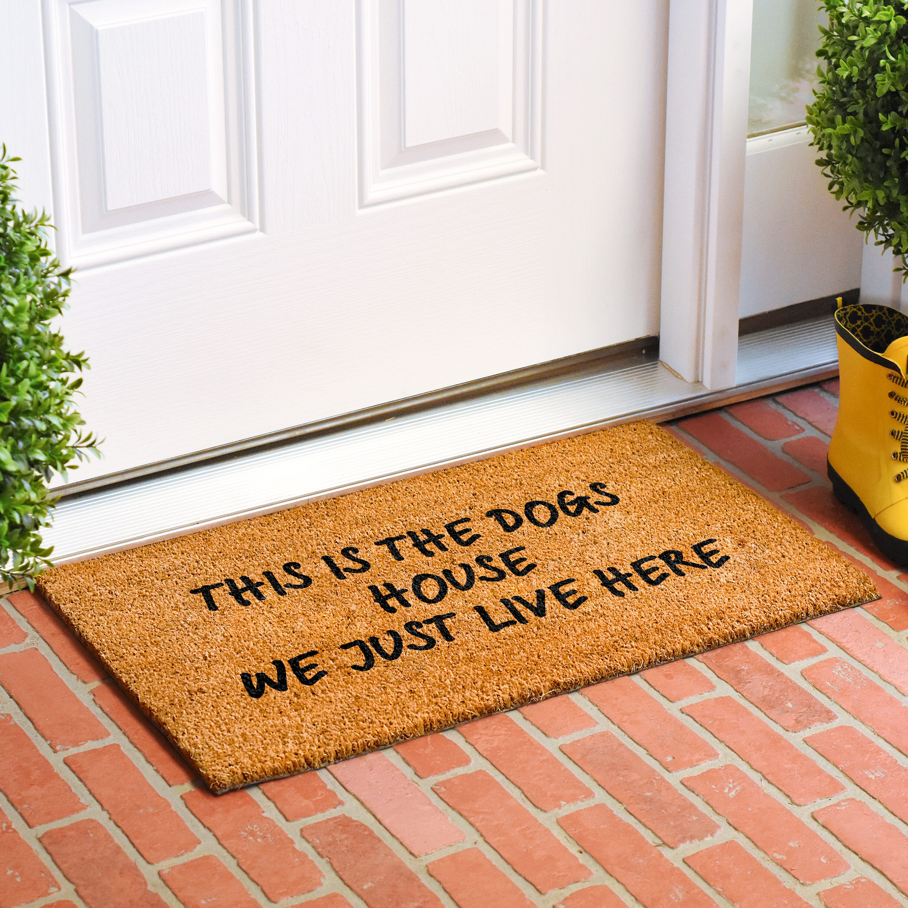 Callowaymills 109843672 Mats-Cat - View #2