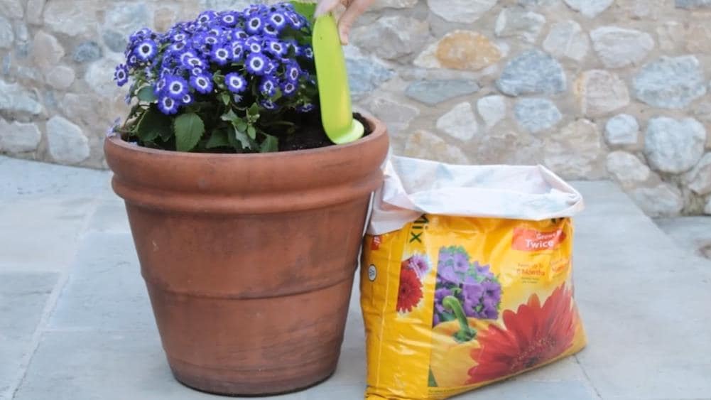 TIDY POTS GS-100 Speciality-Garden-Hand-Tools - View #7