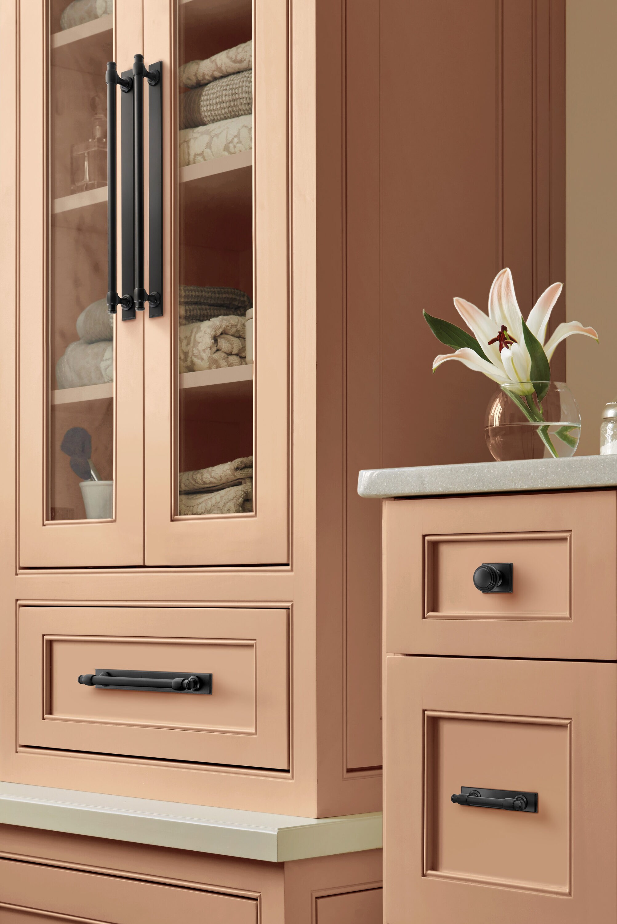 Amerock BP37590MB backplates - View #5