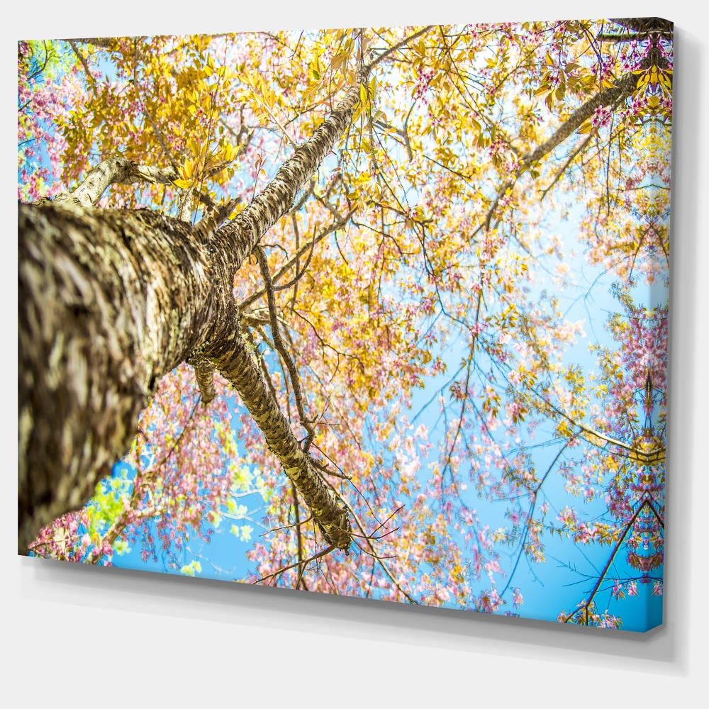 Designart PT14792-20-12 Wall-Art - View #2