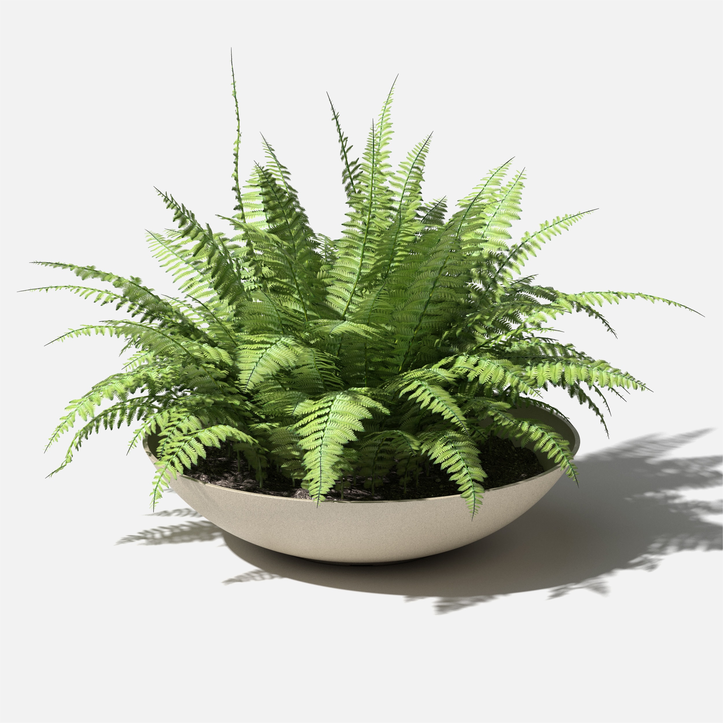 Veradek LBV32T Planter-Window-Box - View #9