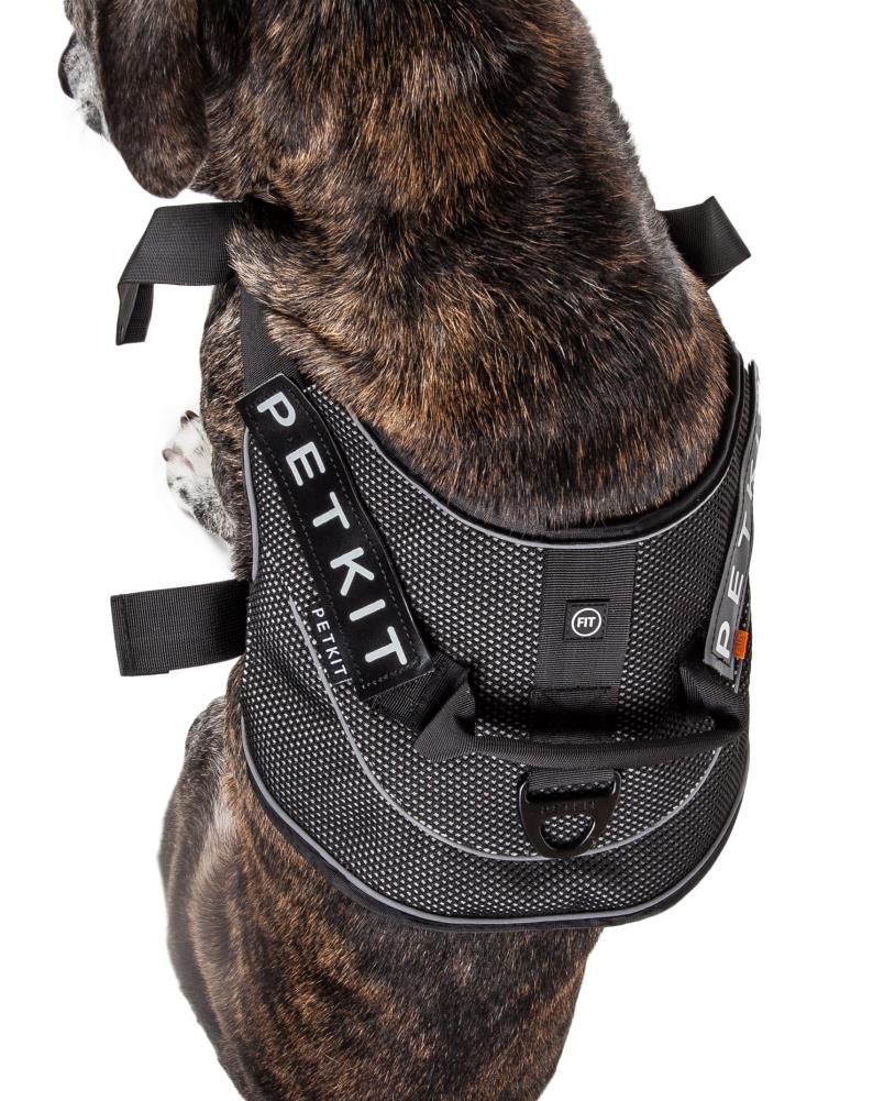 PETKIT HA8GYMD Dog-Collars-Harnesses - View #2