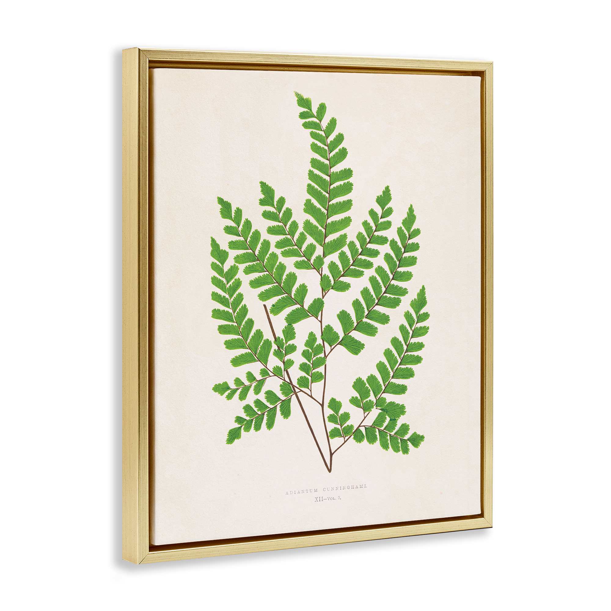 Stupell Industries BT-466-FFG-16X20 Wall-Art - View #2