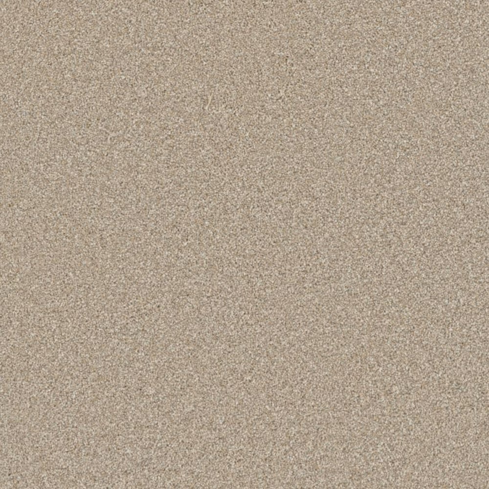 STAINMASTER S9275-728-1200-MO Chenille Flannel Multi-Colored 75-oz sq yard Polyester Textured Indoor Carpet