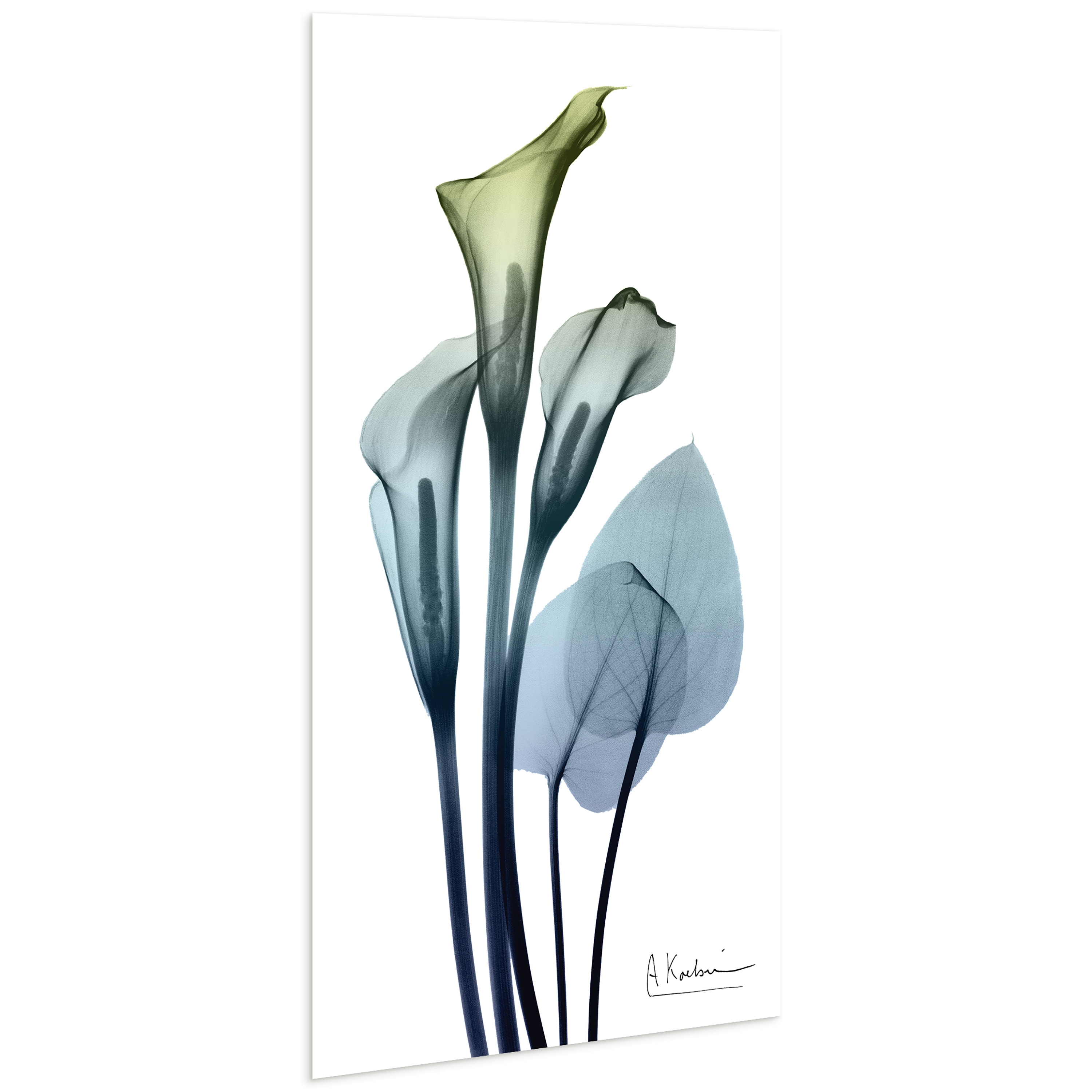 Empire Art Direct TMP-AD015B-2448 Wall-Art - View #2