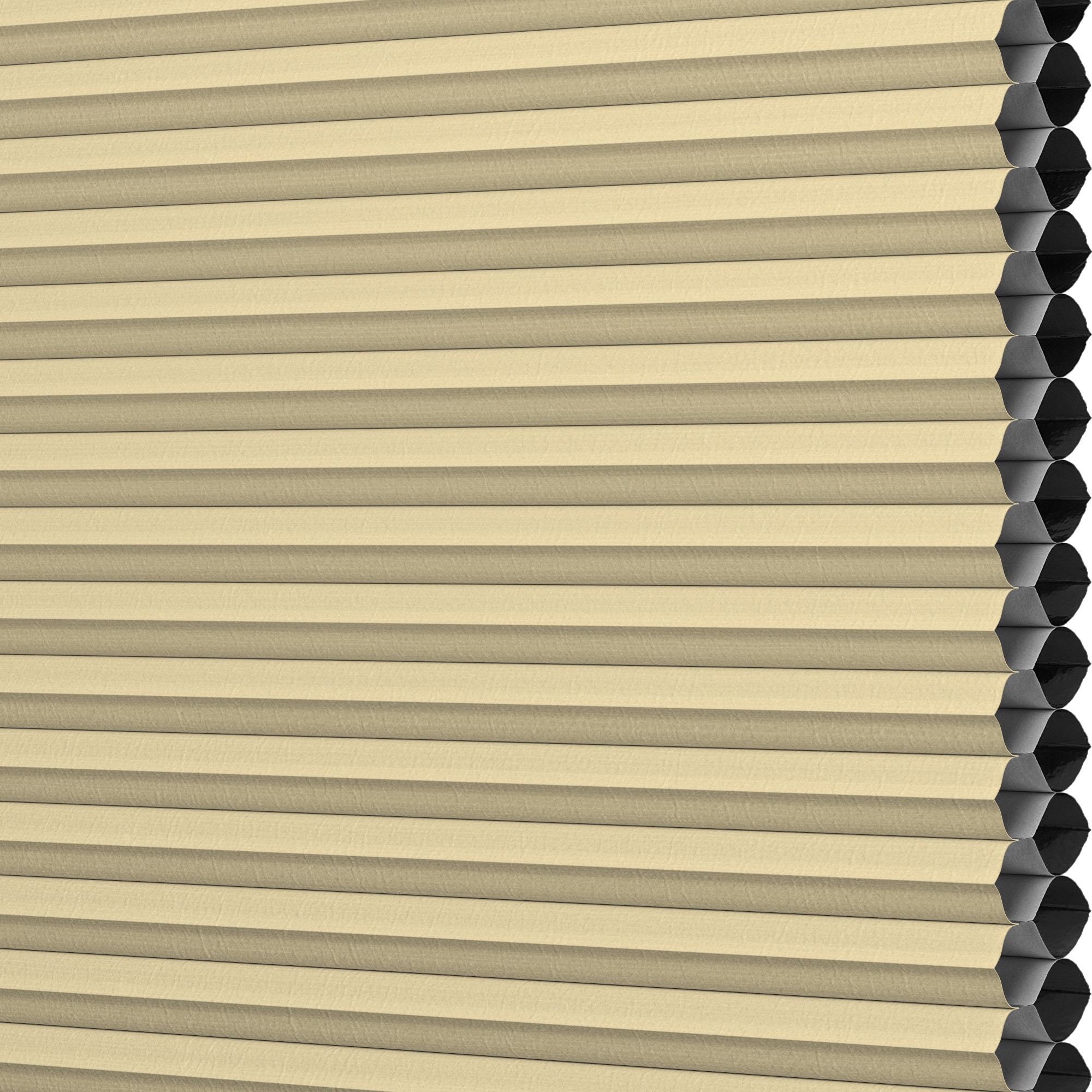 LEVOLOR 511459 Designer Colors Honeywheat Blackout Polycotton 1/2-in Double Designer Colors Cellular shade swatch