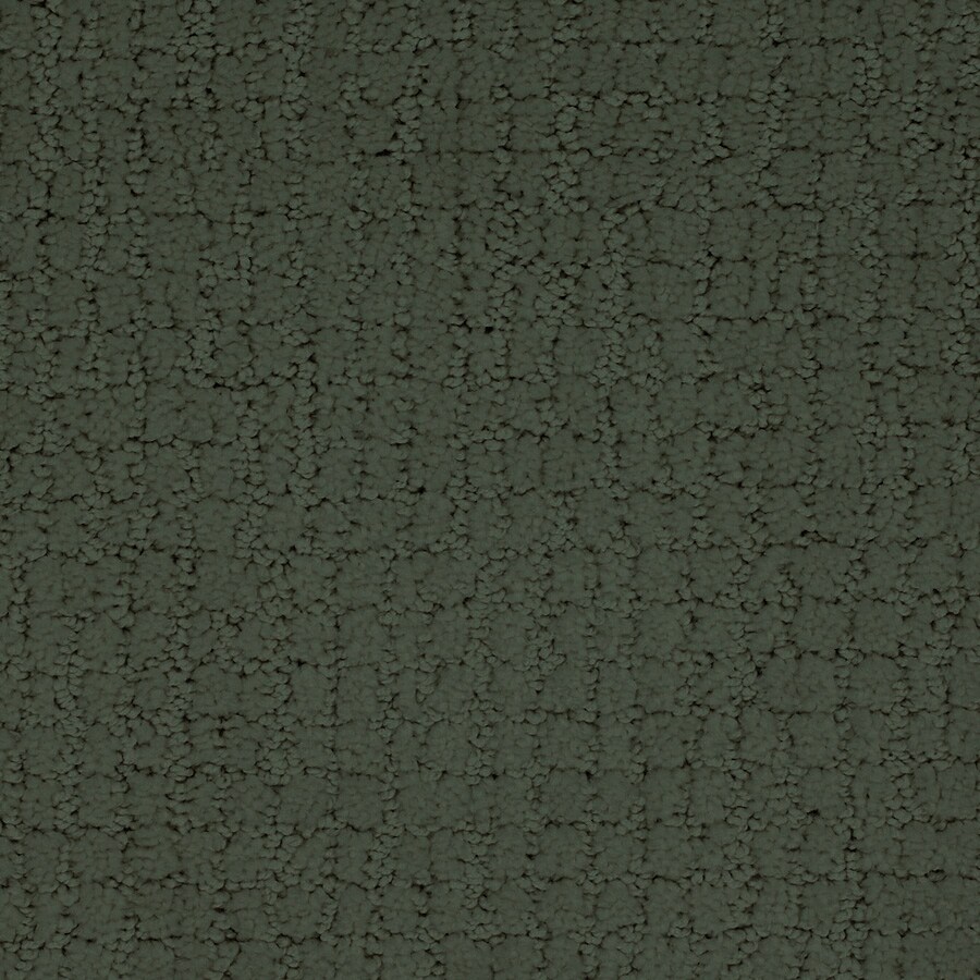 STAINMASTER S124498GREEN-125 (Sample) TruSoft Perpetual Donner Pattern Carpet