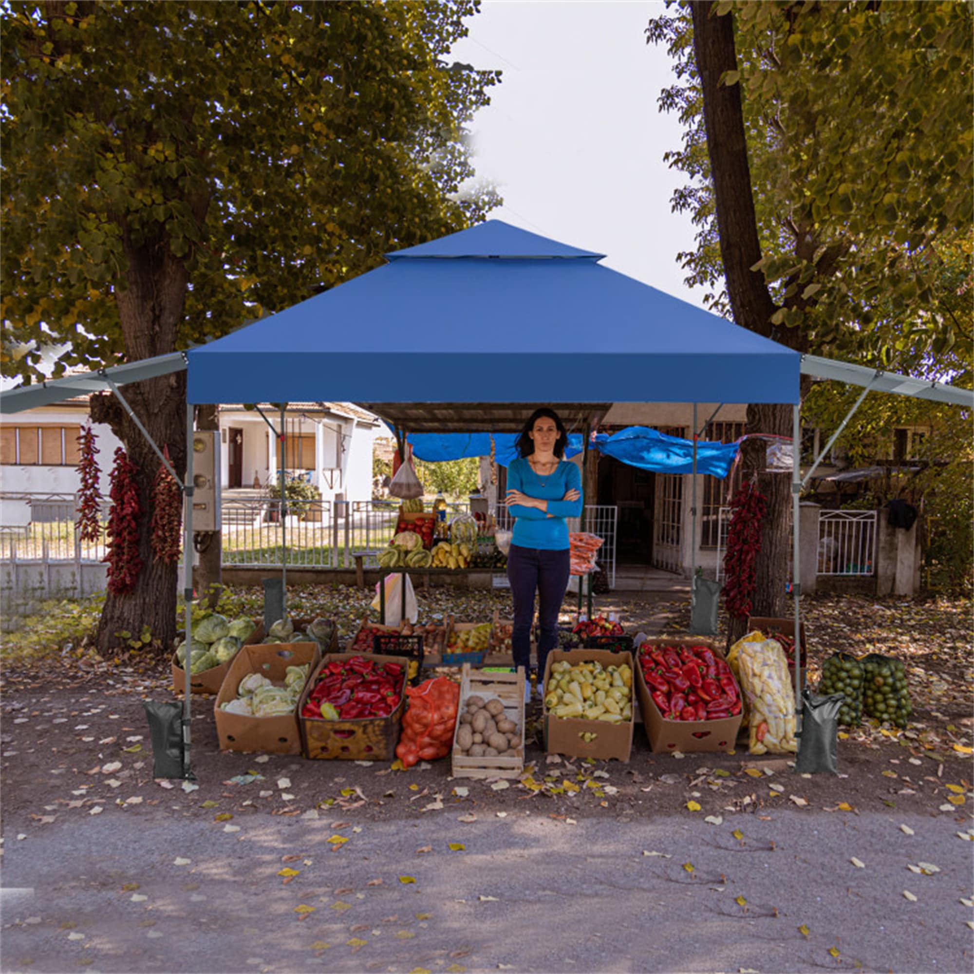 BABOOM BOM-10844BL-CO Canopies-Sl - View #3