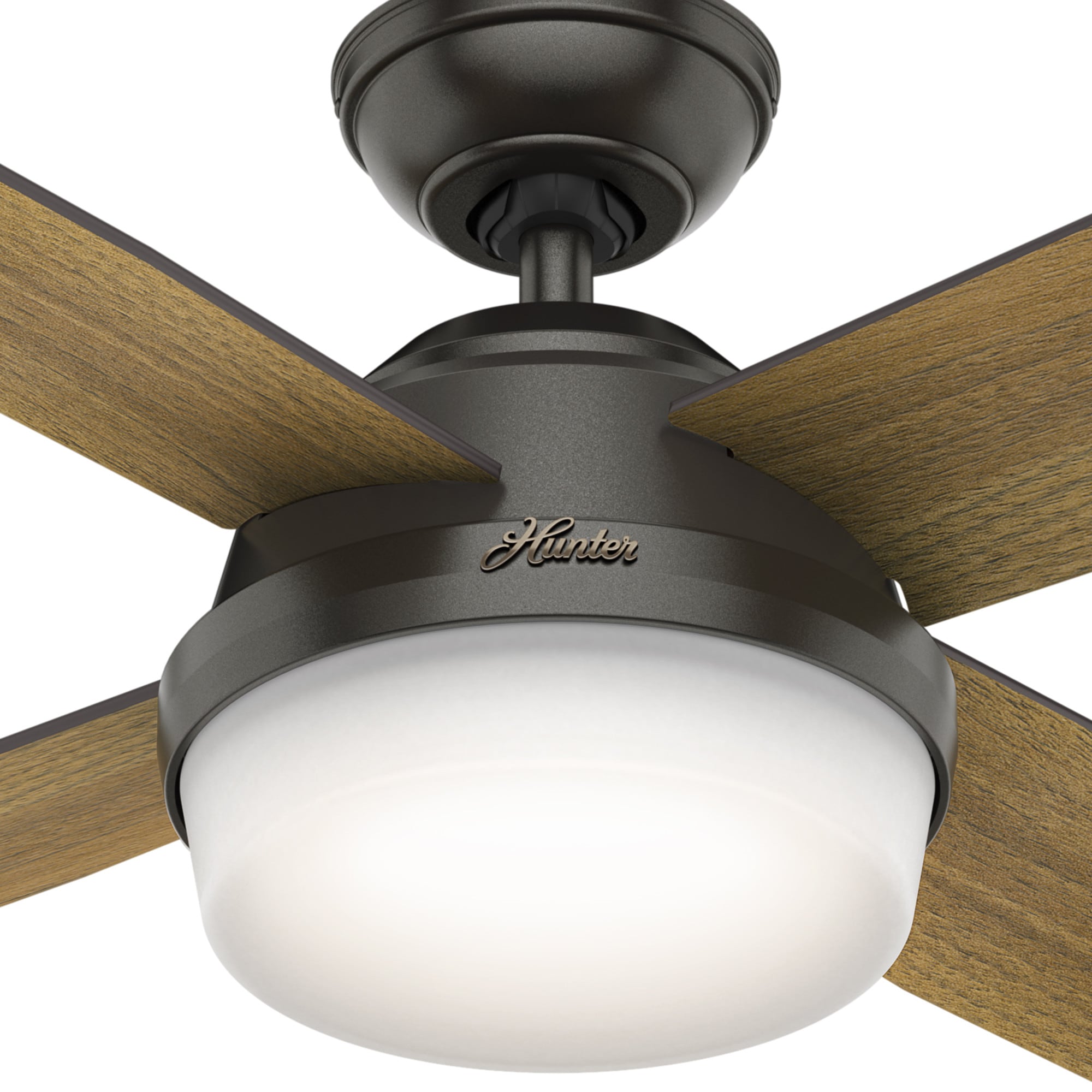 Hunter 59446 Ceiling-Fans - View #6