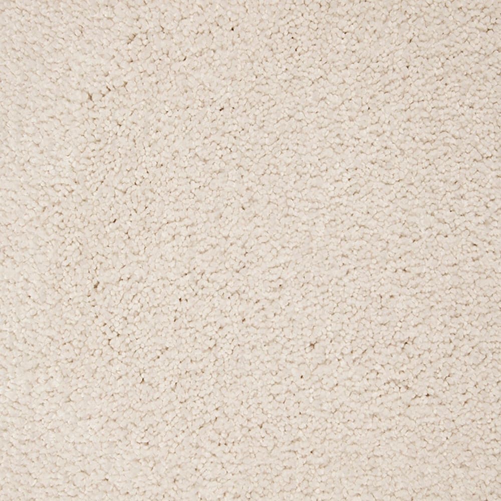 STAINMASTER PetProtect STP56-L006-0808 (Sample) Pawfection Snowbird Brown 70-oz sq yard Triexta Textured Indoor Carpet