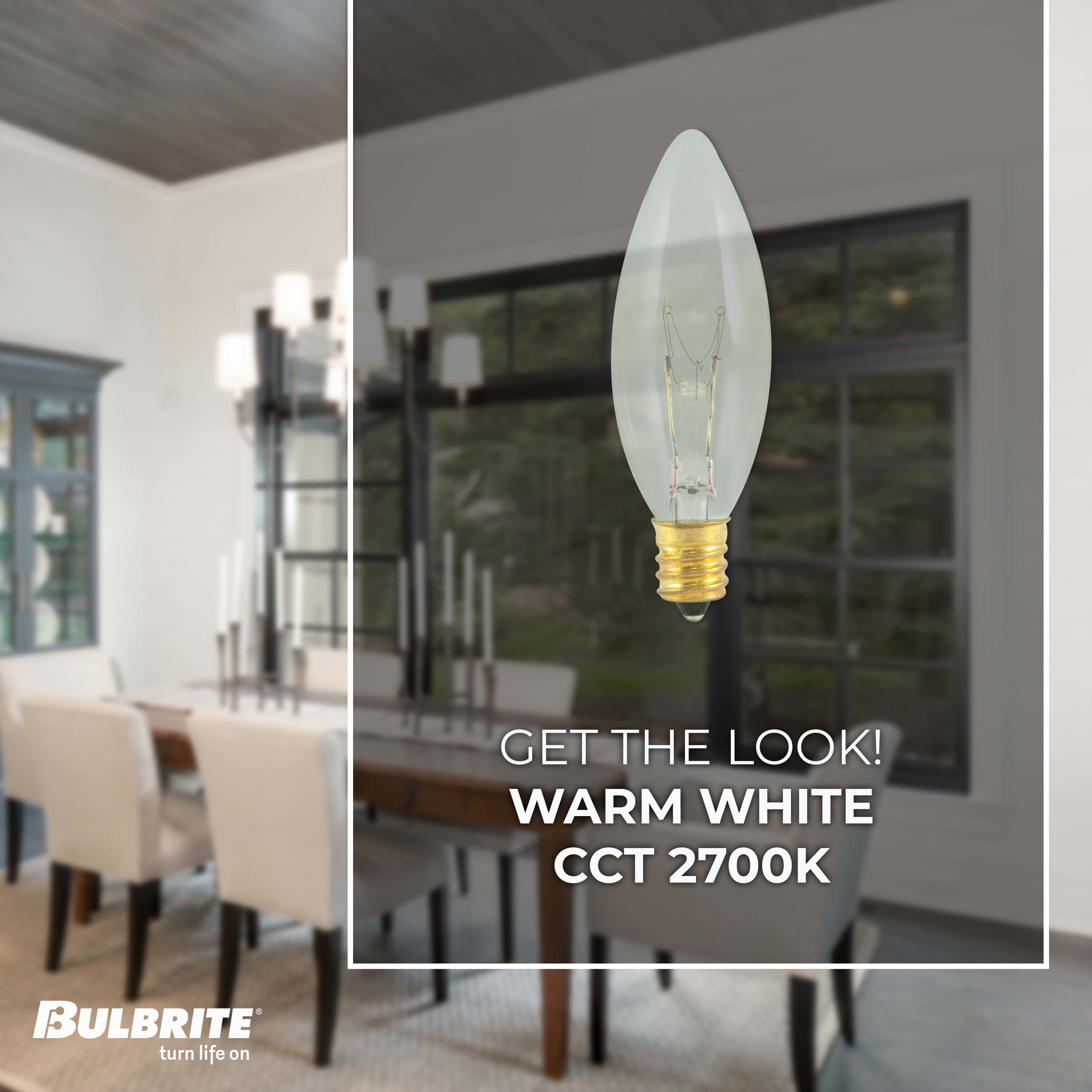 Bulbrite 861984 Dec-Led-Light-Bulbs - View #3
