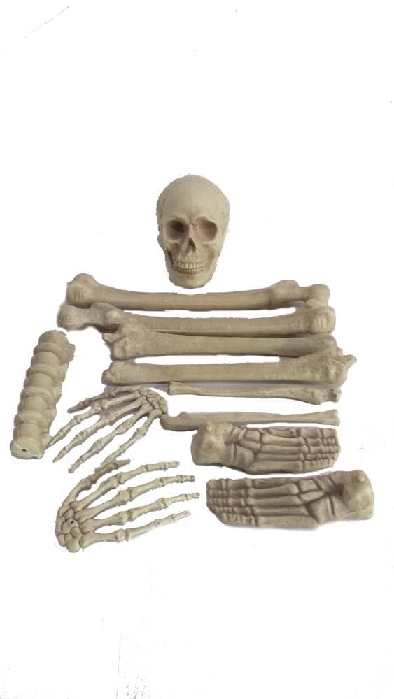 Halloween Bag Of Bones 7 Pack | Woolworths