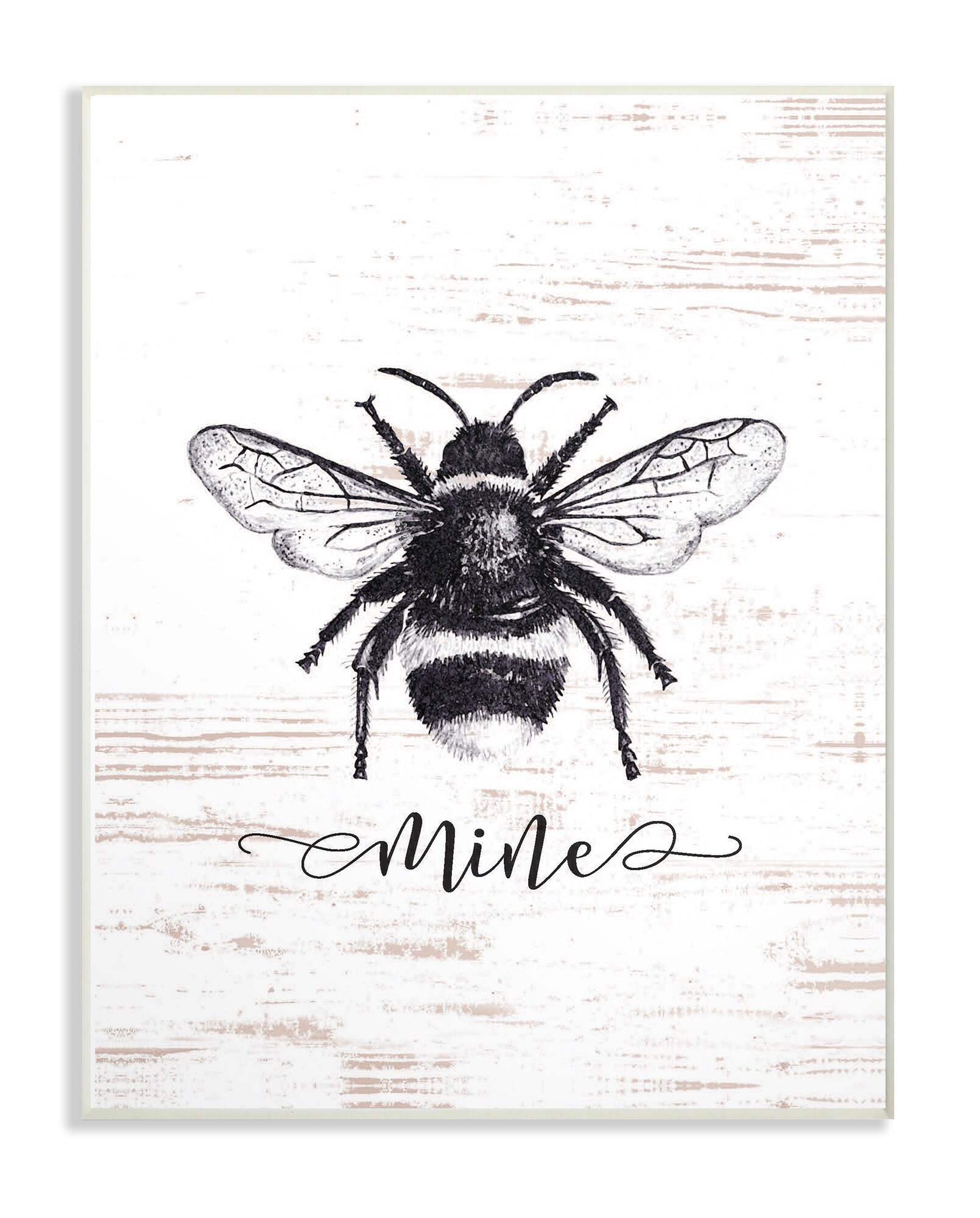 The Stupell Home Decor Collection Anatomy of Honey Bee Pun