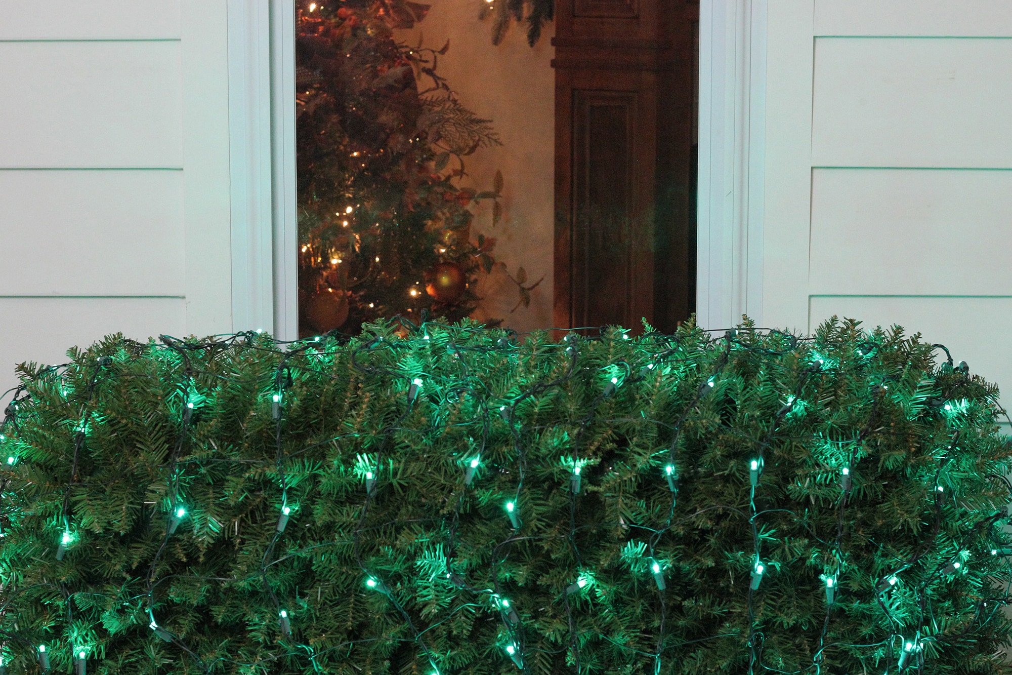 Northlight 32604982 Christmas-Net-Lights - View #4