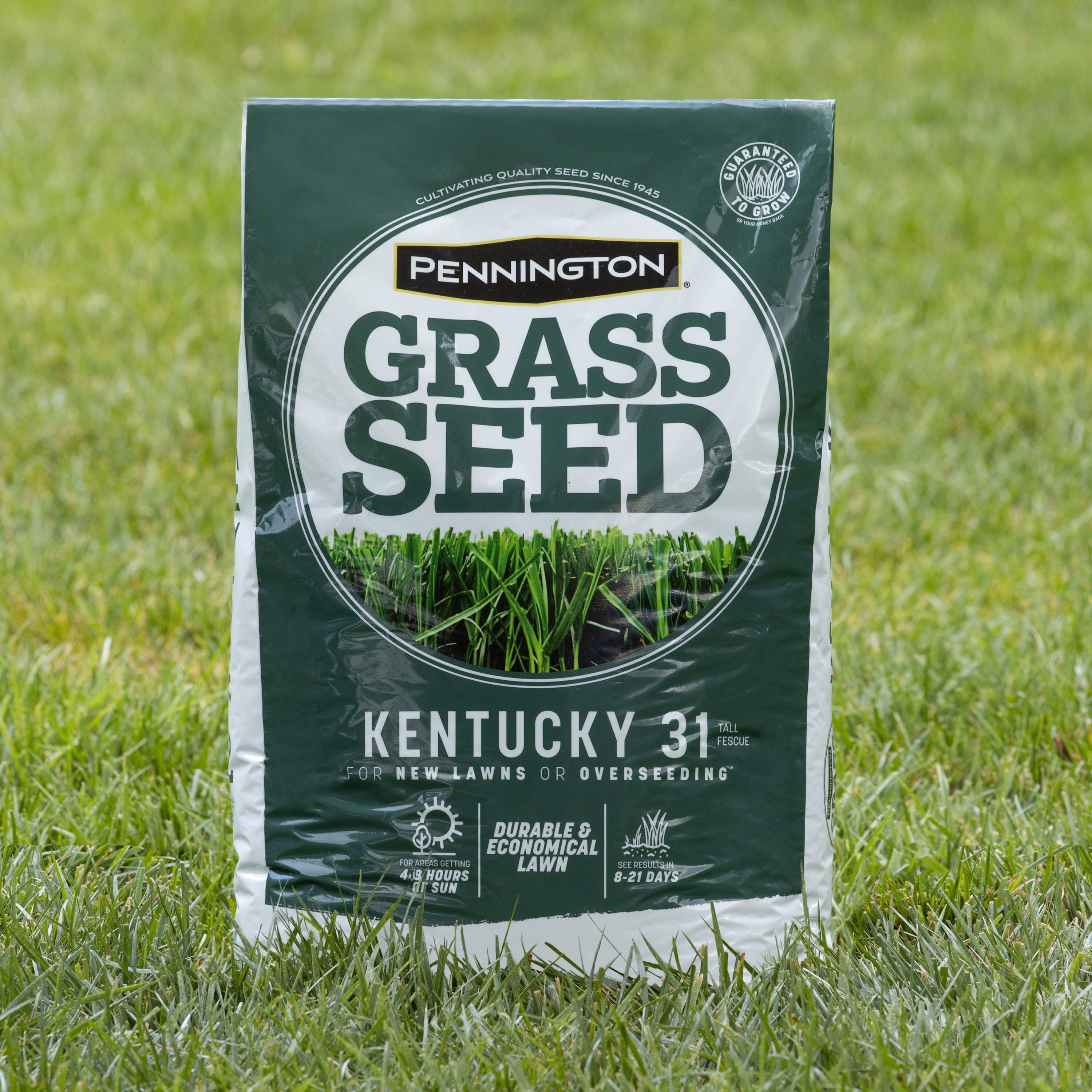 Pennington 2149602260 Grass-Seed - View #10