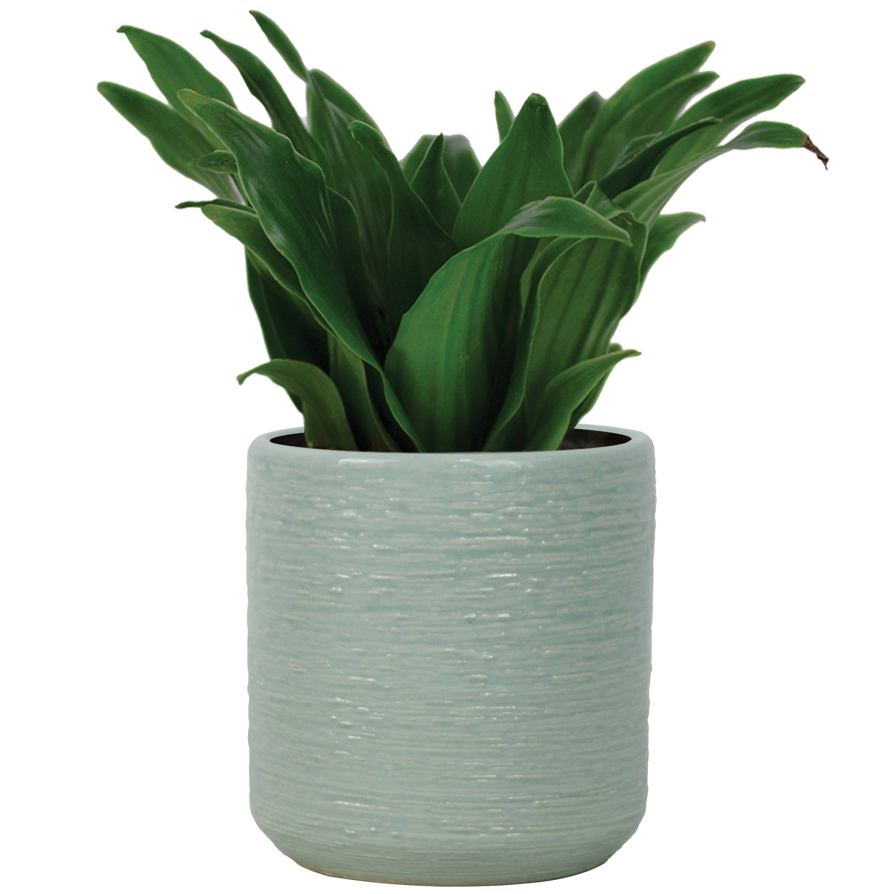 allen + roth CR11367N-045K Planter-Window-Box - View #2
