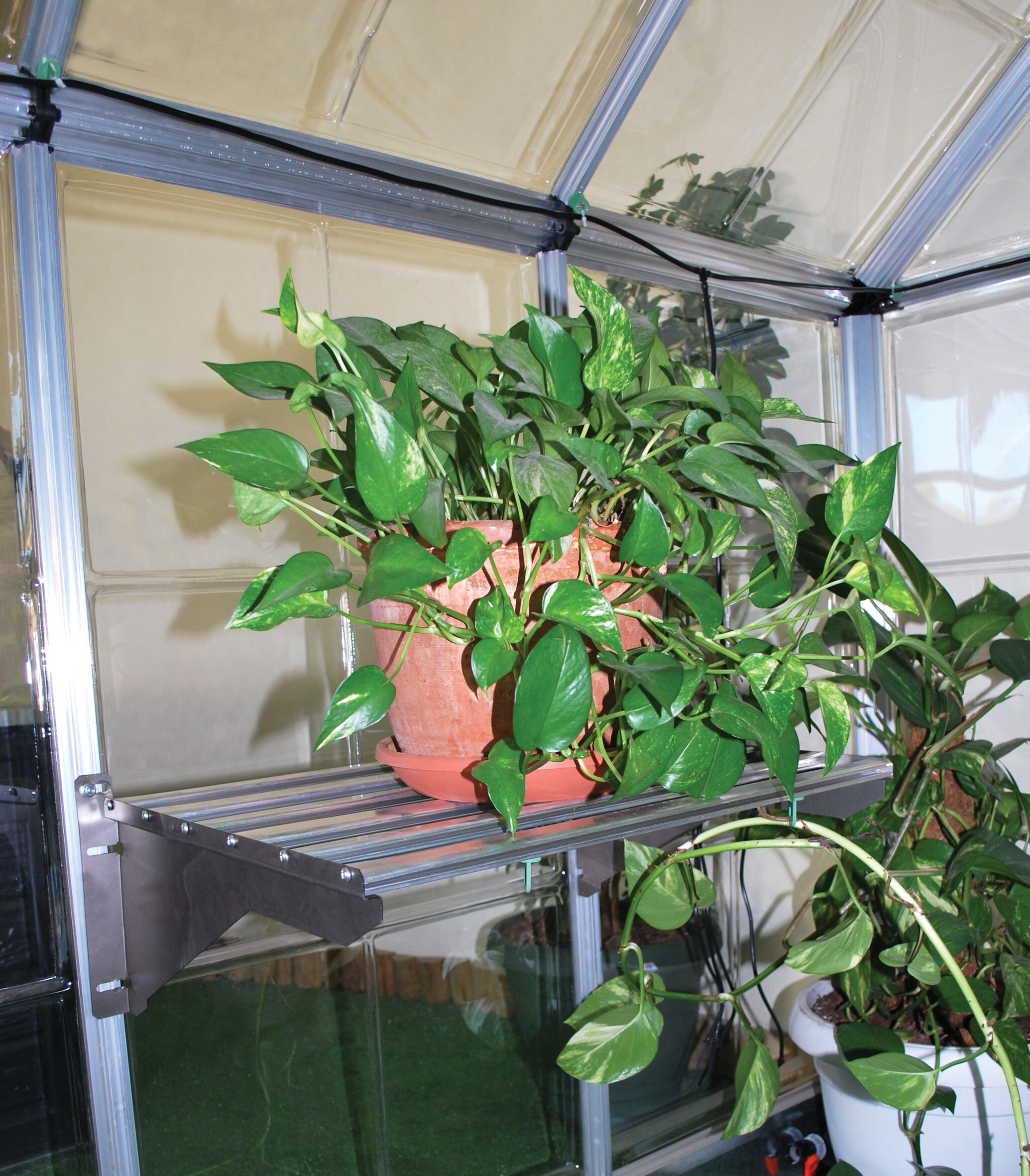 Palram 701935 Greenhouse-Vent-Openers - View #8