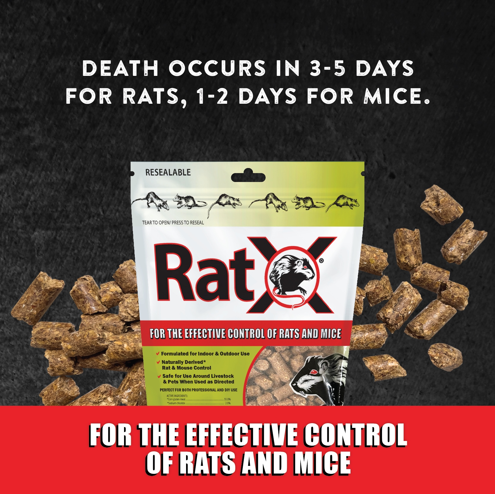 RatX 620101 Animal-Rodent-Control - View #4