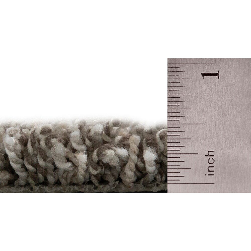 STAINMASTER SS041-L006-S0808 Carpet-Samples - View #5