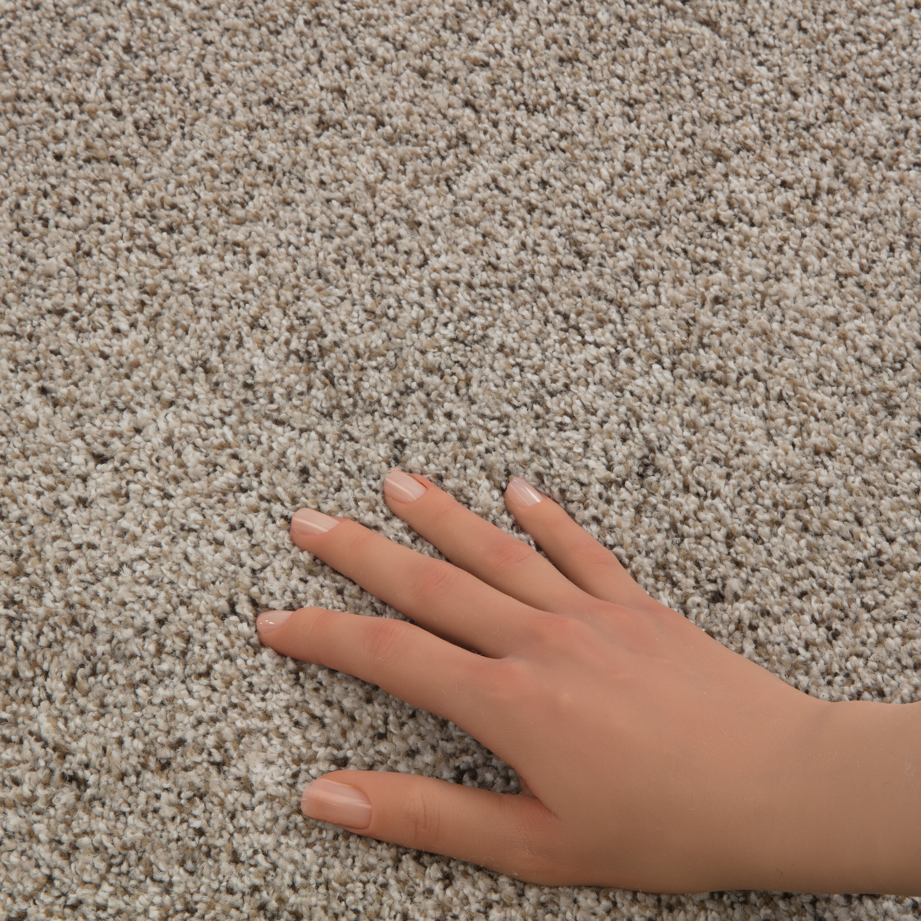 STAINMASTER 7L910 - 177 - SAMP Carpet-Samples - View #4