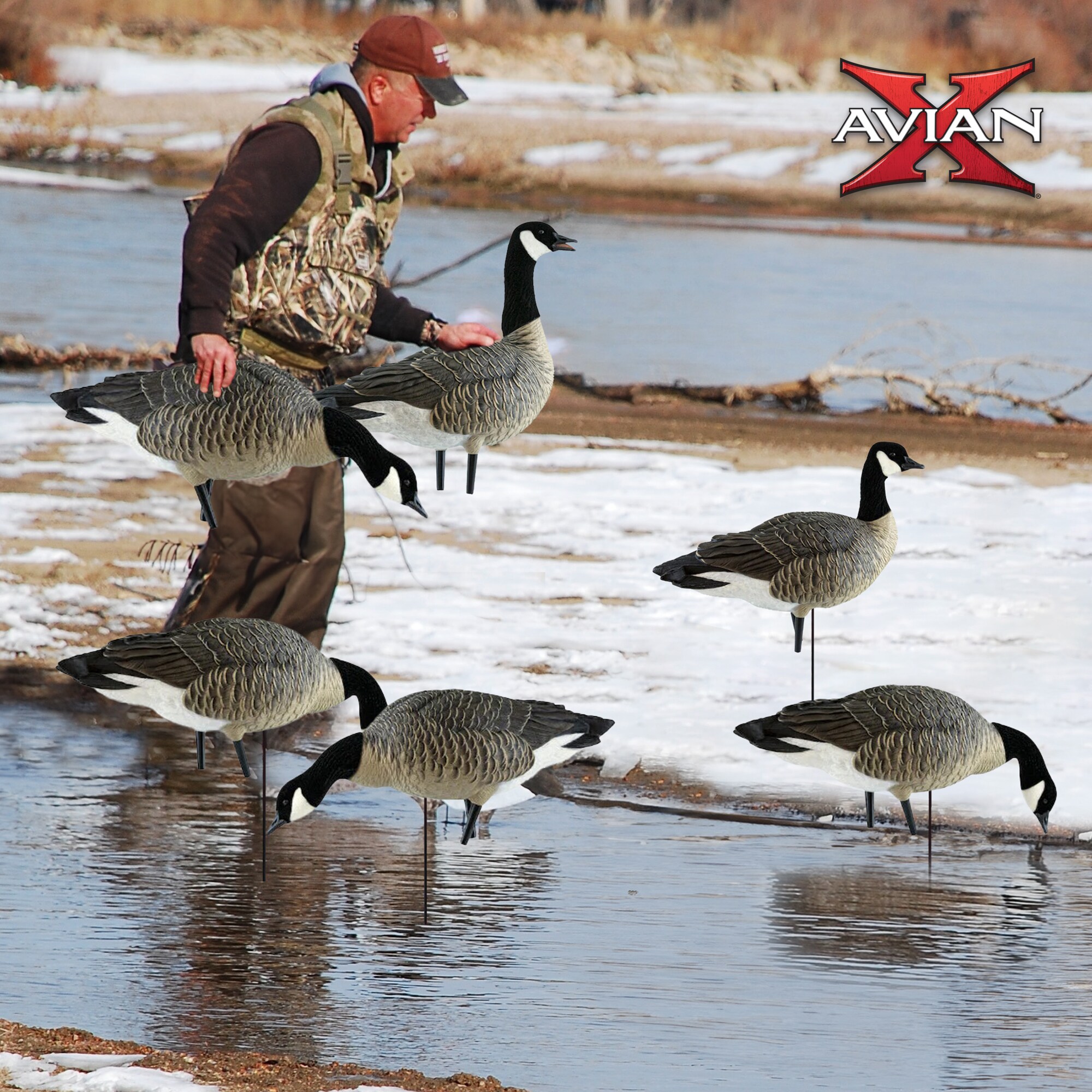 Avian X 3 X AVX-LESS-6PK Hunting-Equipment - View #6