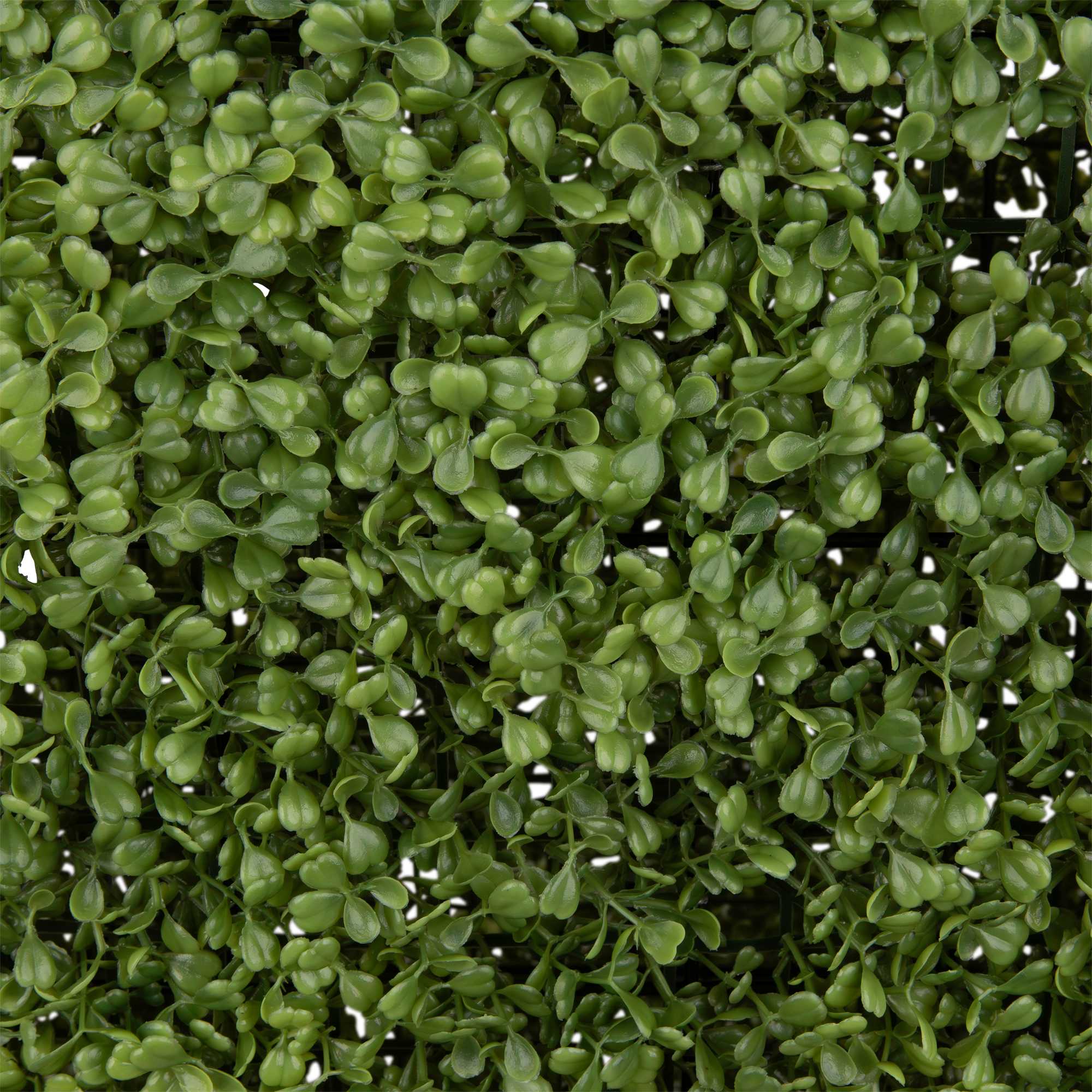 Northlight NORTHLIGHT SM97304 Artificial-Plants-Trees - View #6