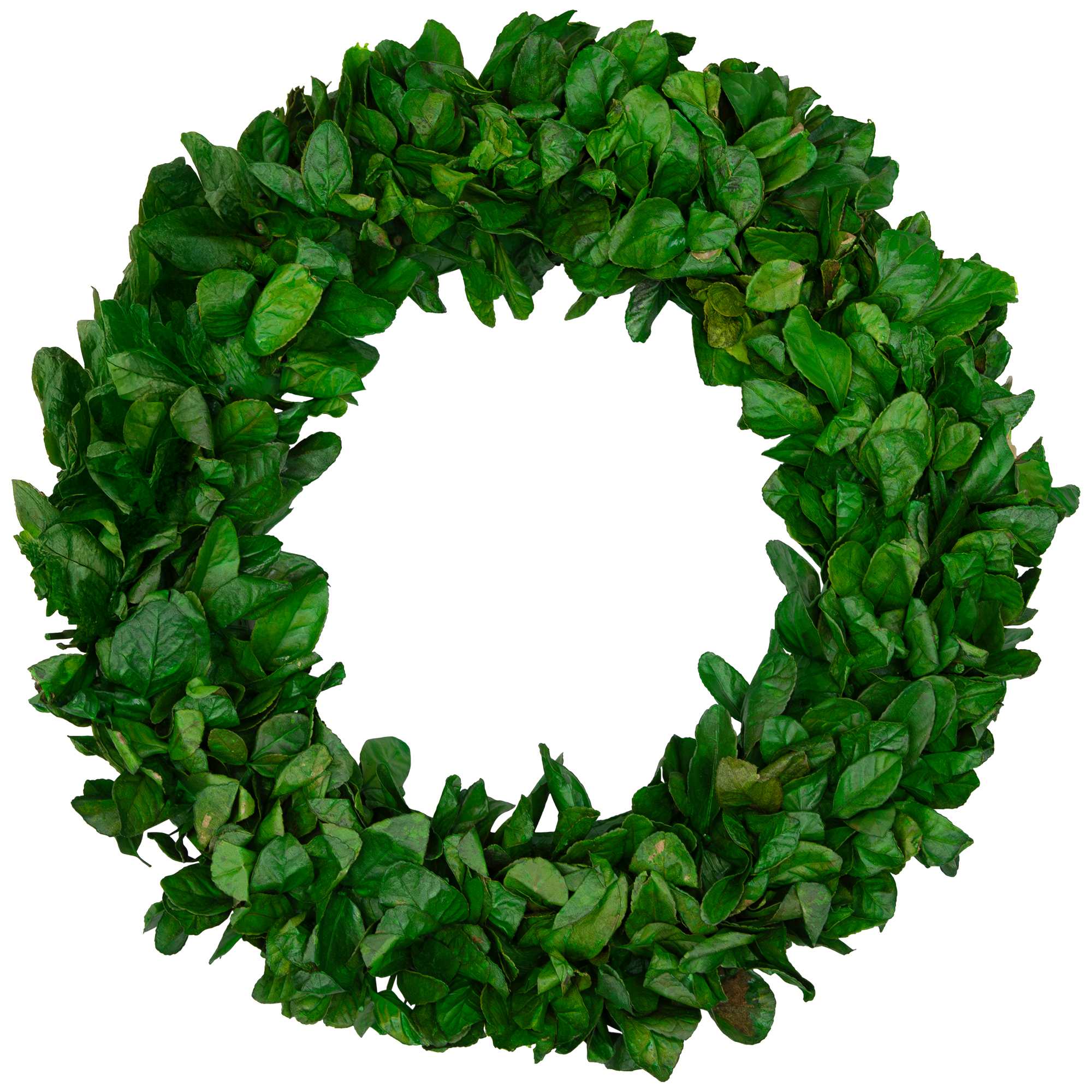 Northlight NORTHLIGHT JY91047 Artificial-Christmas-Wreaths - View #2