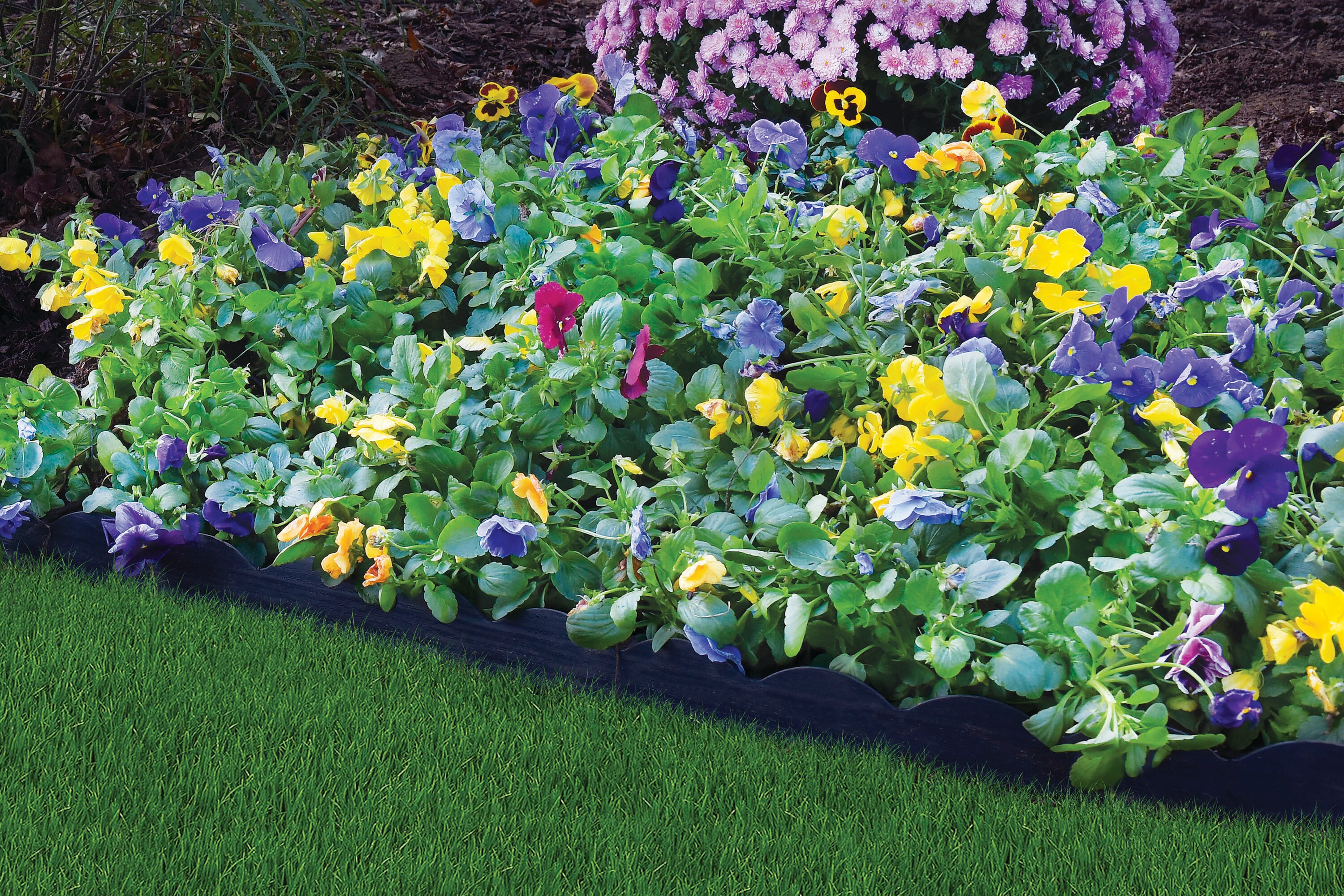 EasyFlex 20-ft x 2.5-in Scallop Woodgrain No-Dig Edging Black Plastic Landscape Edging Roll