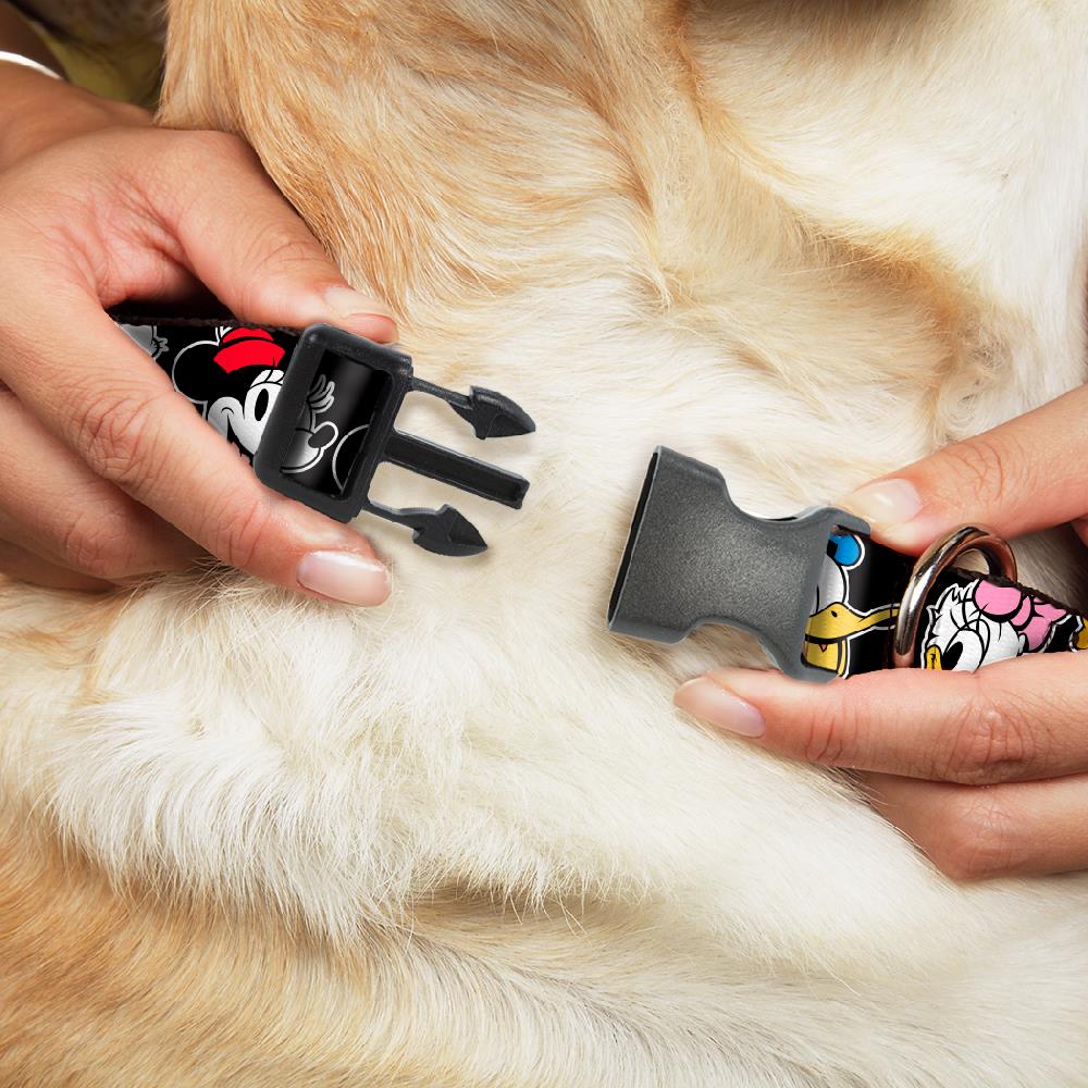 Buckle-Down CPC-WDY670-M Dog-Collars-Harnesses - View #2