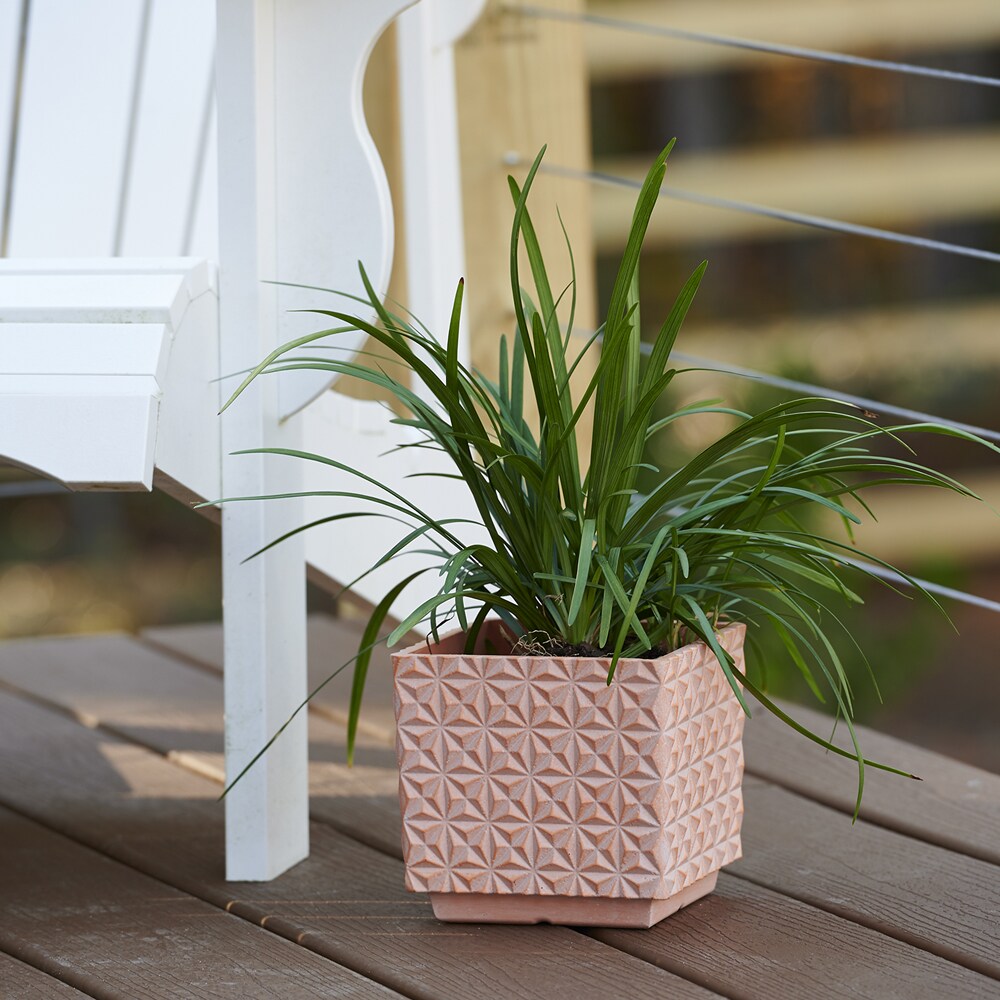 allen + roth CMX-089377 Planter-Window-Box - View #4