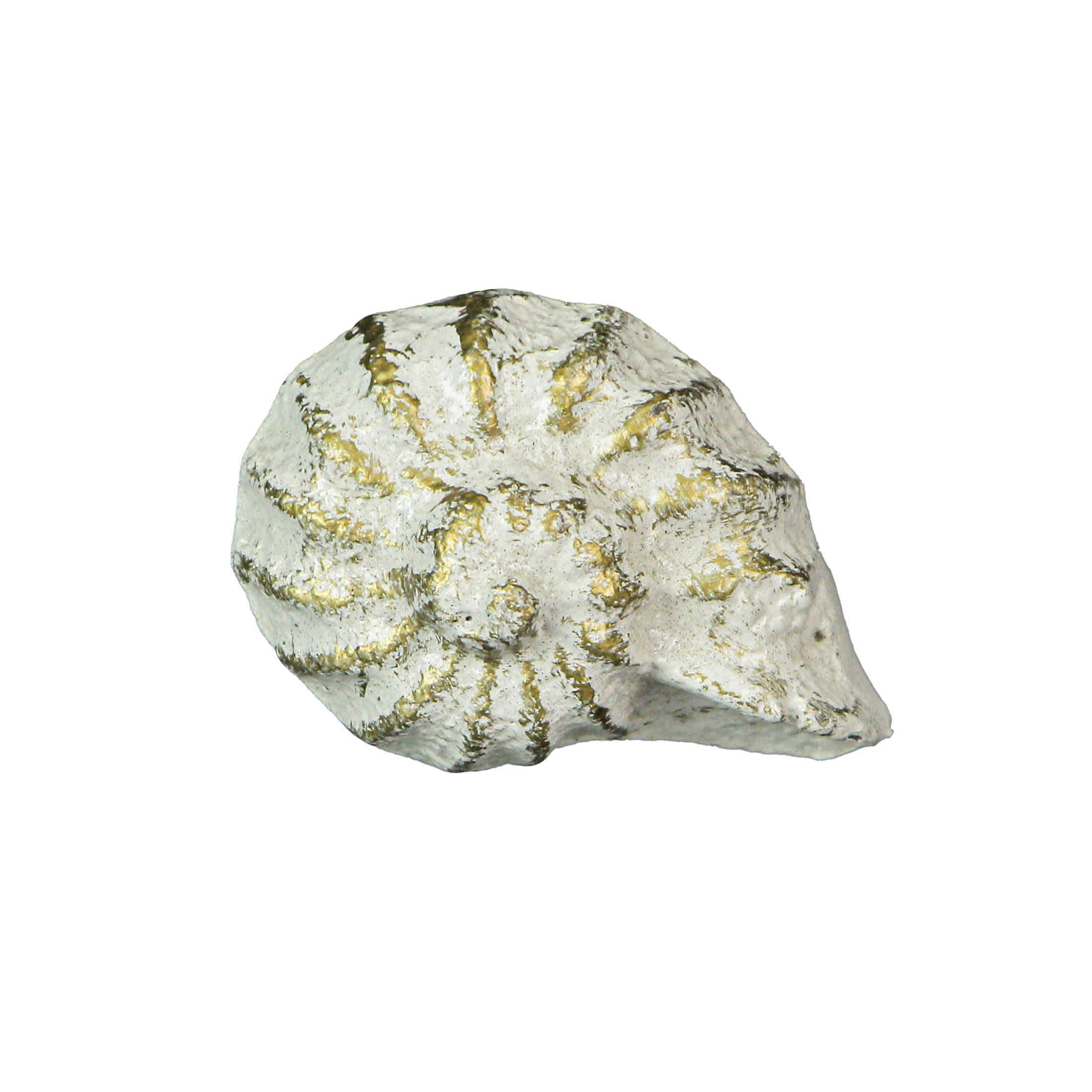 Zeckos ZKO-99351 White Cast Iron Nautilus Shell Drawer Pull Decorative Cabinet Knob Set of 6