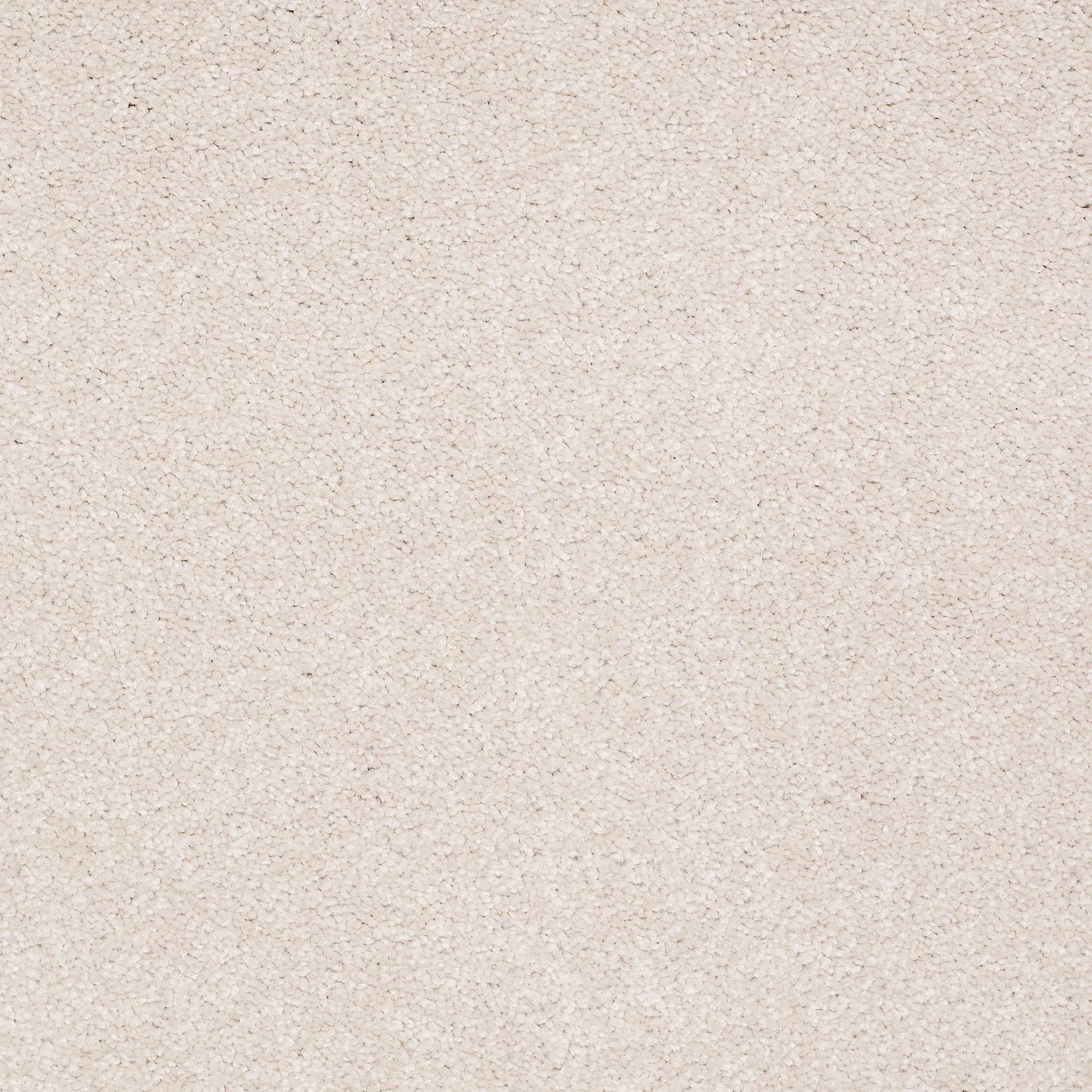 STAINMASTER PetProtect 7L88100102 Best Of Breed I Classic Buff Off-white 48.8-oz sq yard Nylon Textured Indoor Carpet
