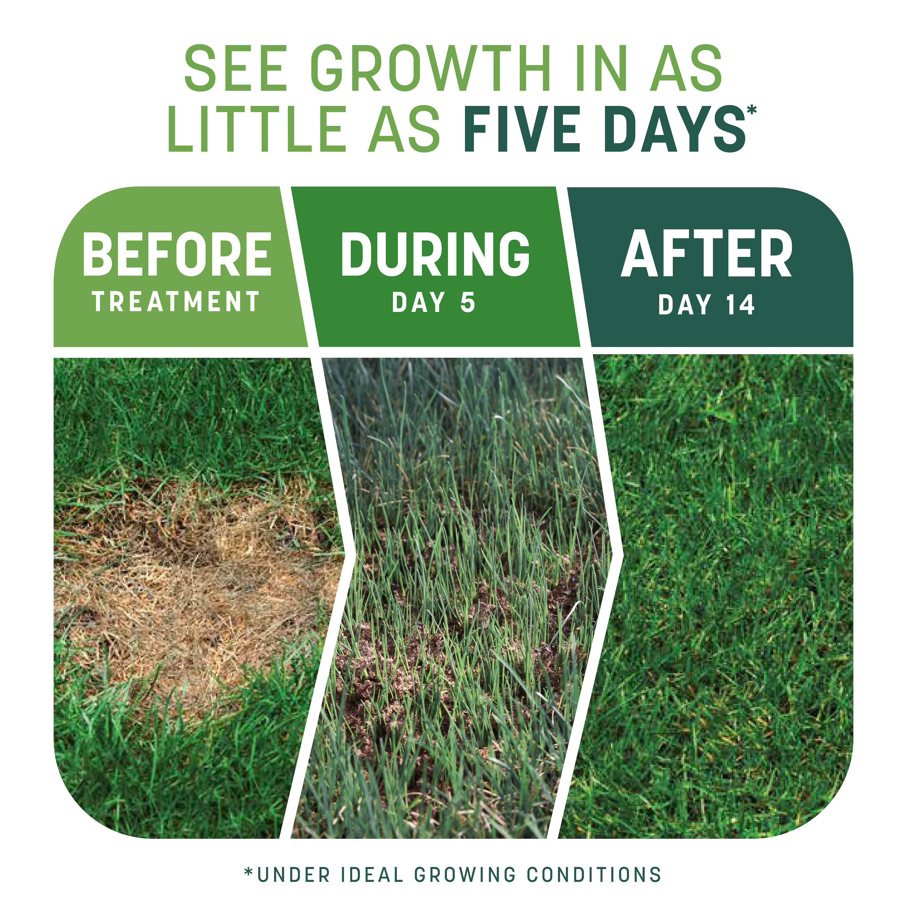 Pennington 100545665 Lawn-Repair-Mix - View #2