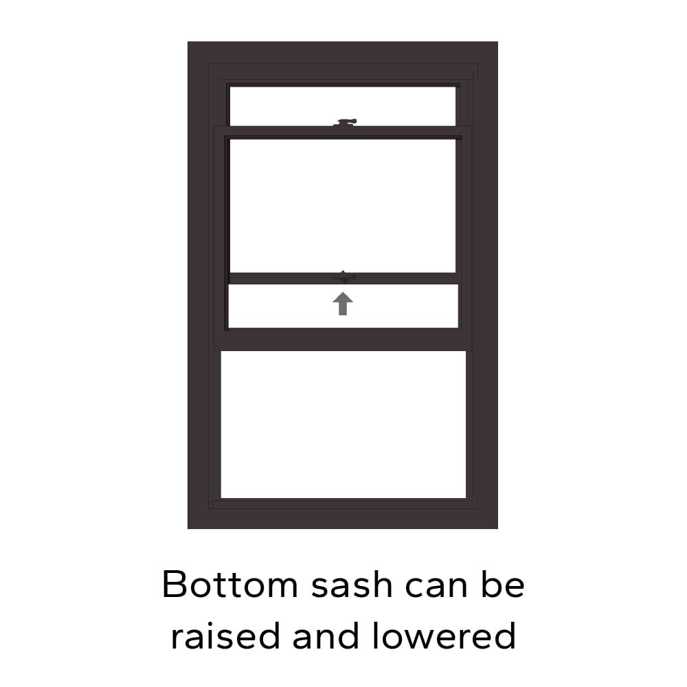 Pella 1000009522 Single-Hung-Windows - View #7