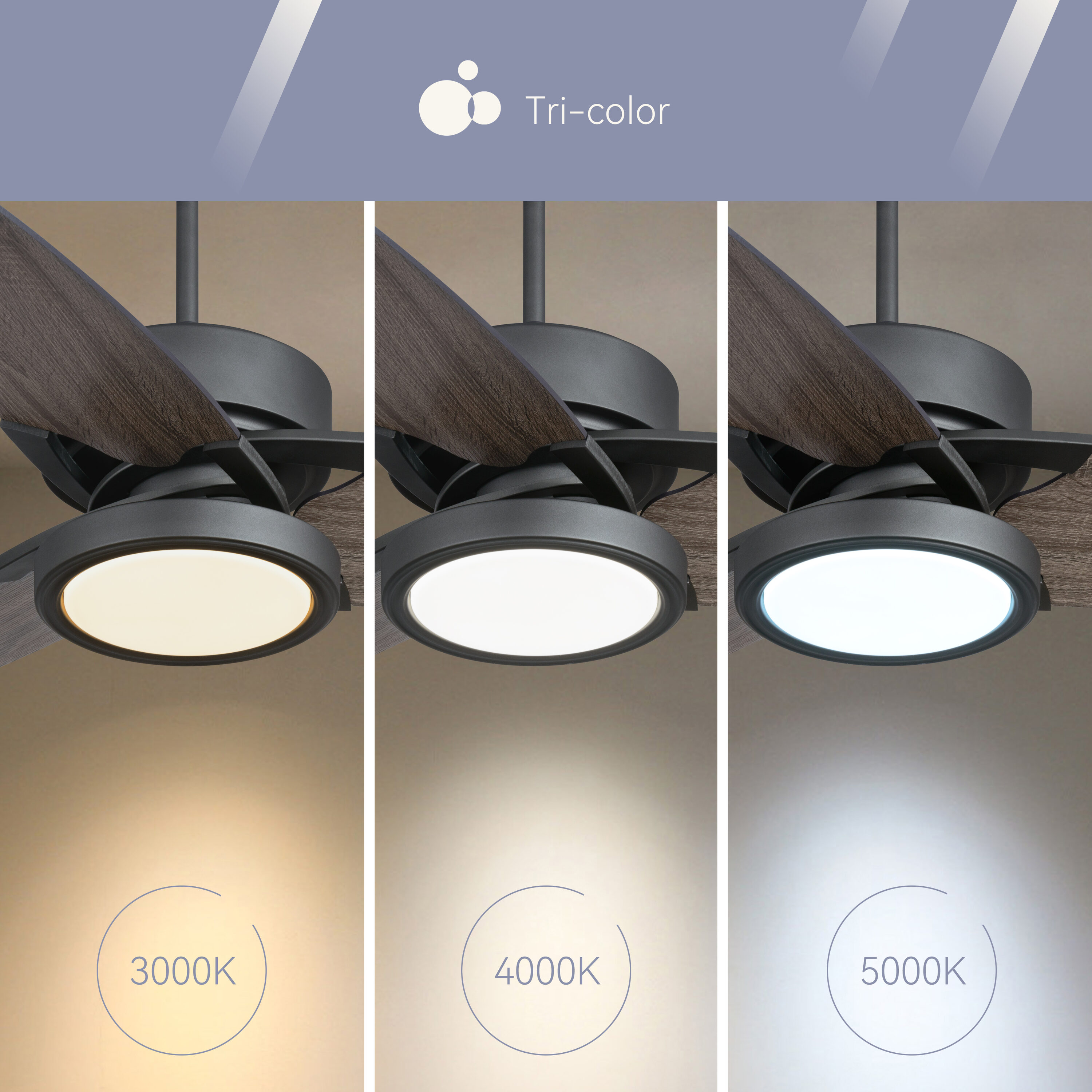 AAZJ LG-103859 Ceiling-Fans - View #4