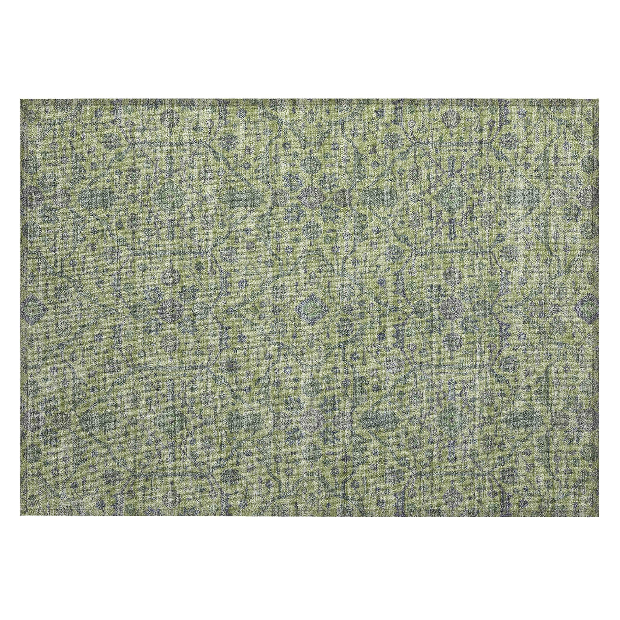 Addison Rugs ACN1131LM20X30 rugs - View #2