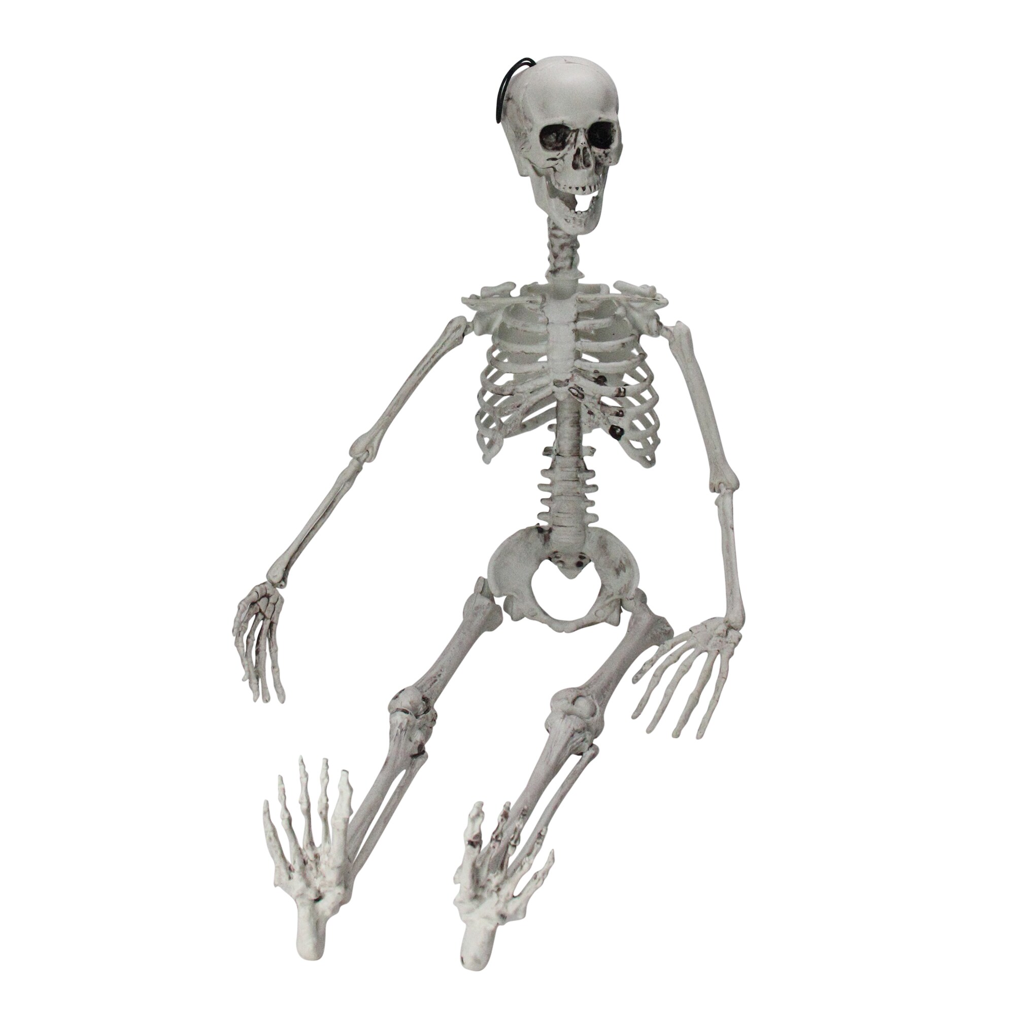 Haunted Living 83.46-in Skeleton Hanging Decoration at