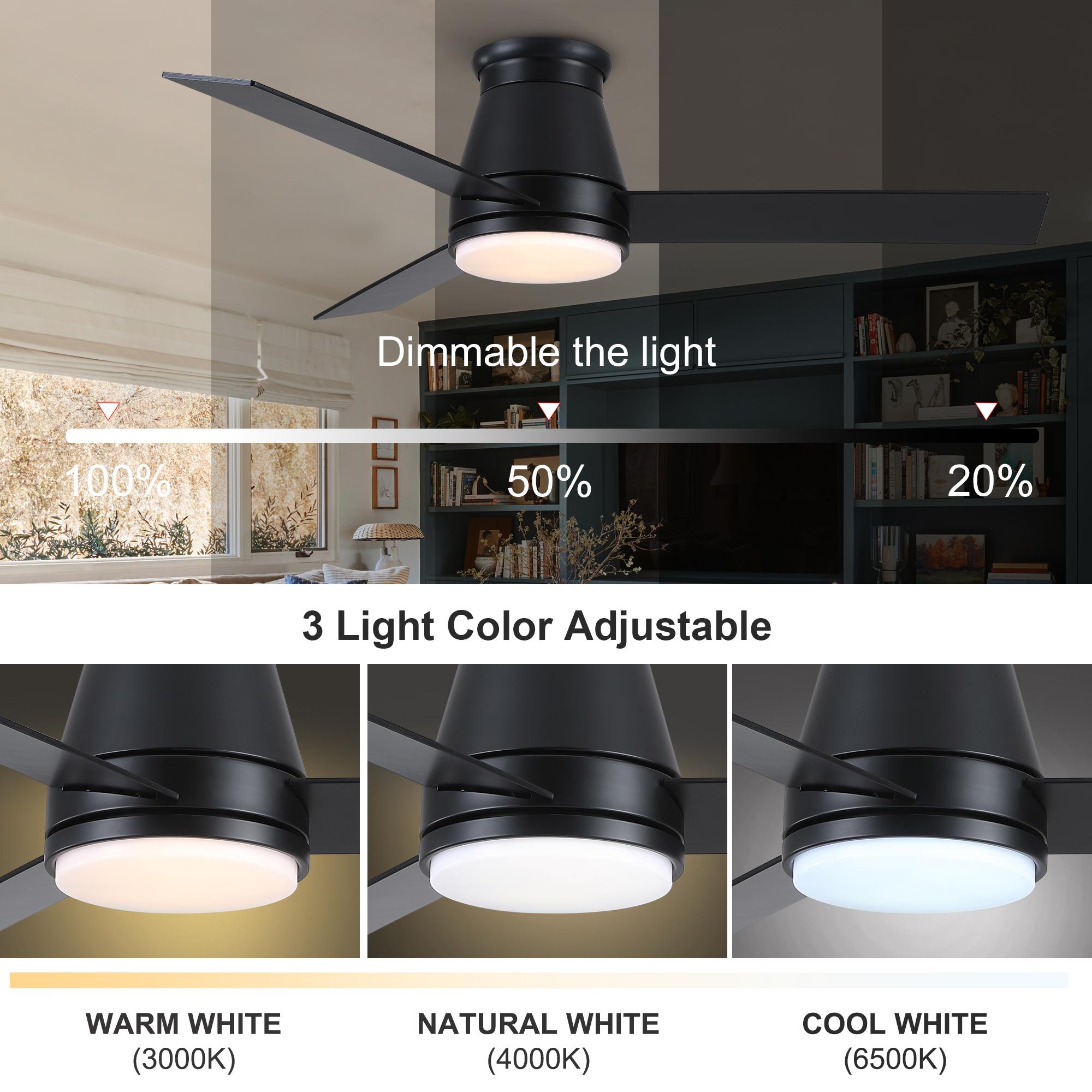 Bayfeve BFYH-34129-CF Ceiling-Fans - View #9