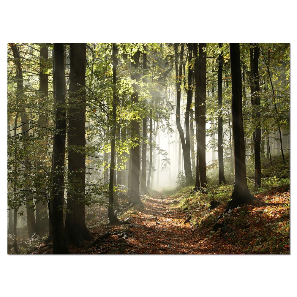 Designart PT9742-40-30 30-Inches H x 40-Inches W Landscape Canvas Print