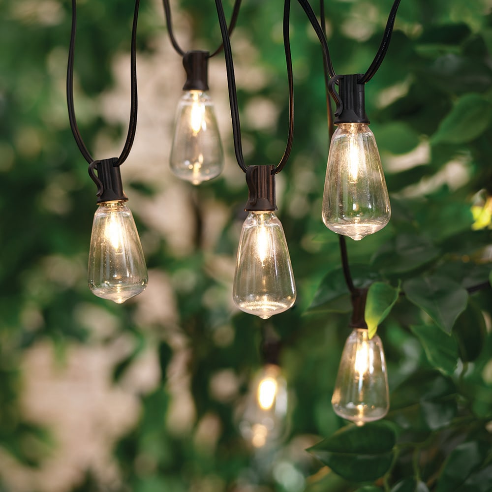 17 Stories Beaney Outdoor 10 - Bulb 10'' Plug-in Shaded String