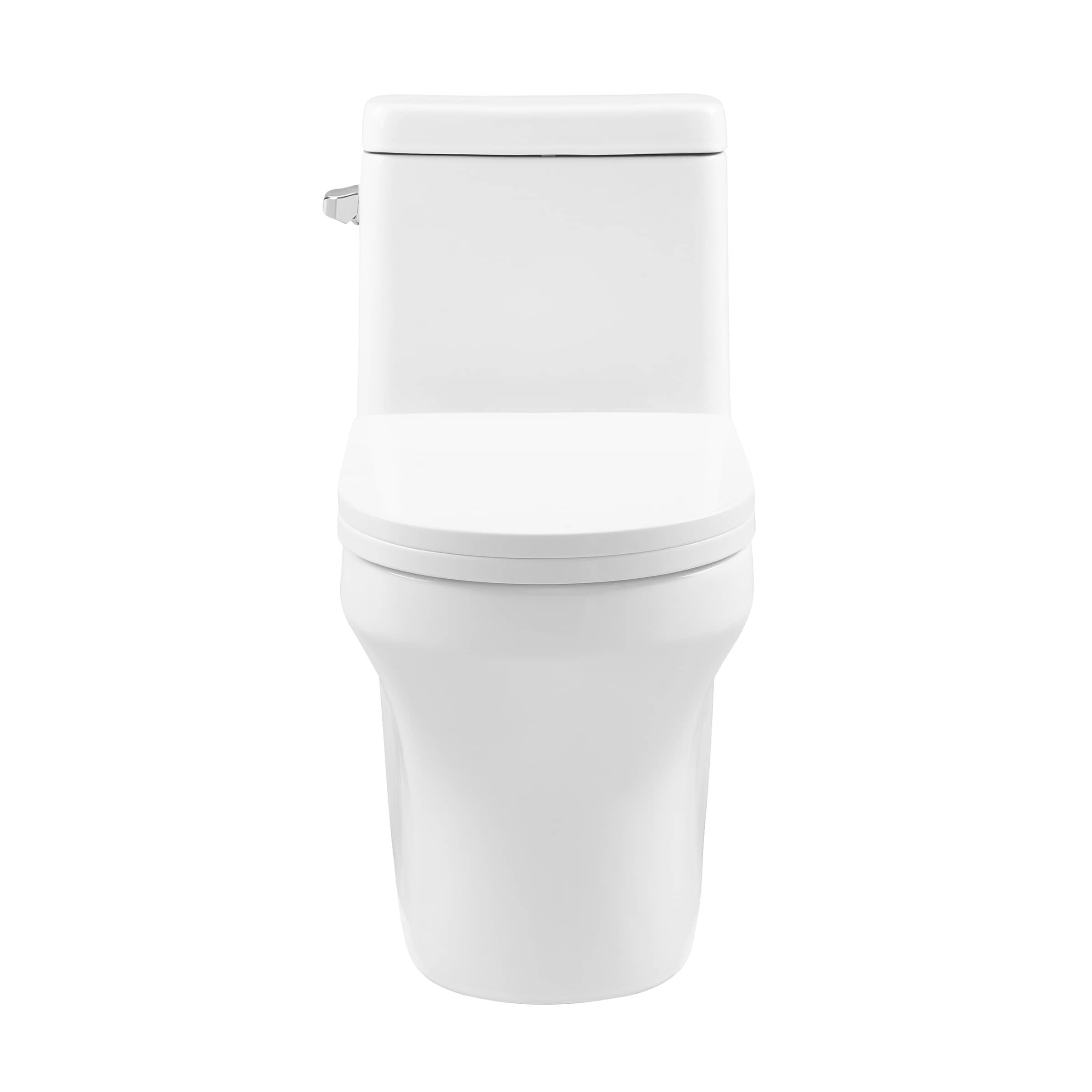 Carlton Plumbing White White Elongated Chair height 12-in Rough-In 1.28 GPF Soft Close 1-piece Toilet