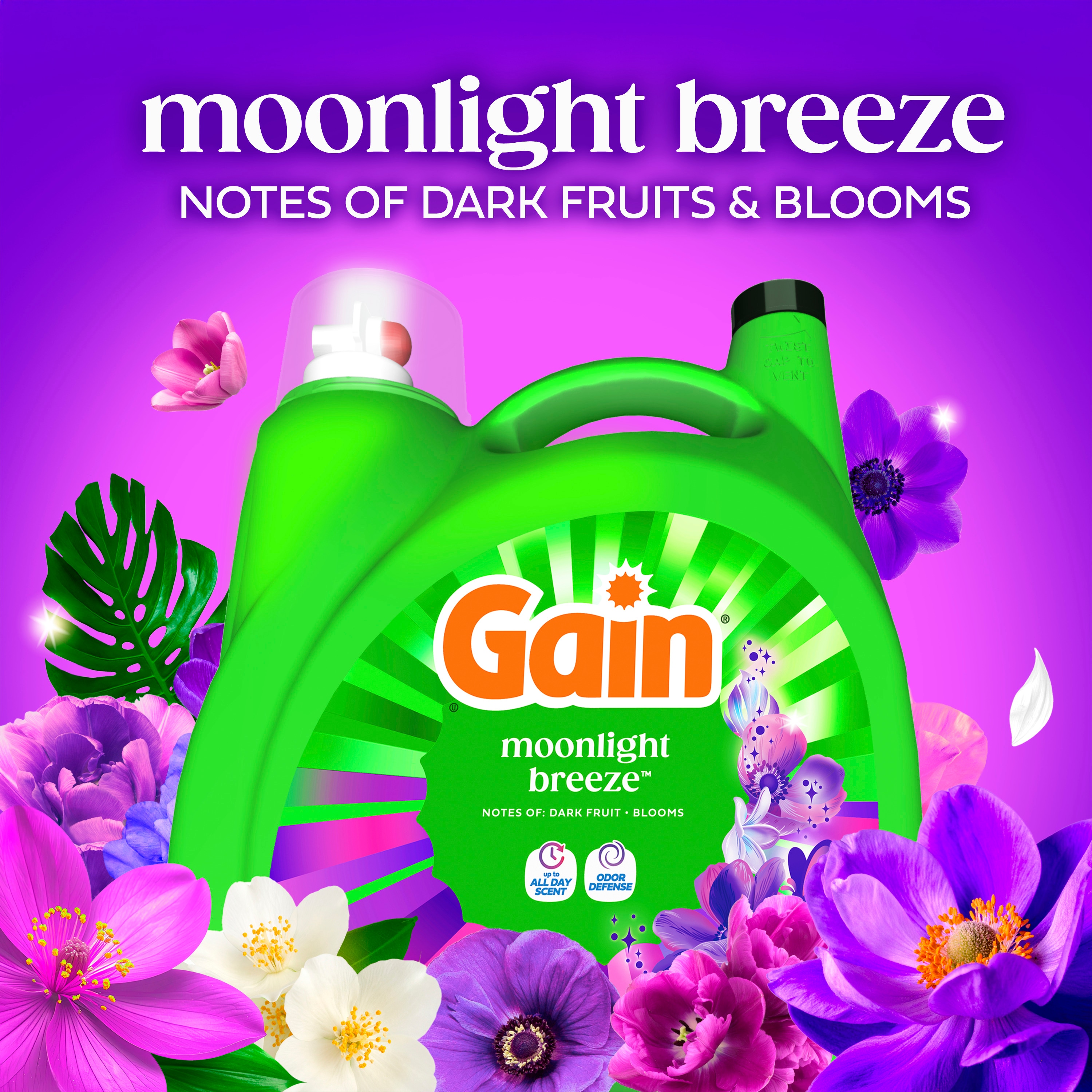 Gain 3077222624 Laundry-Detergent - View #3