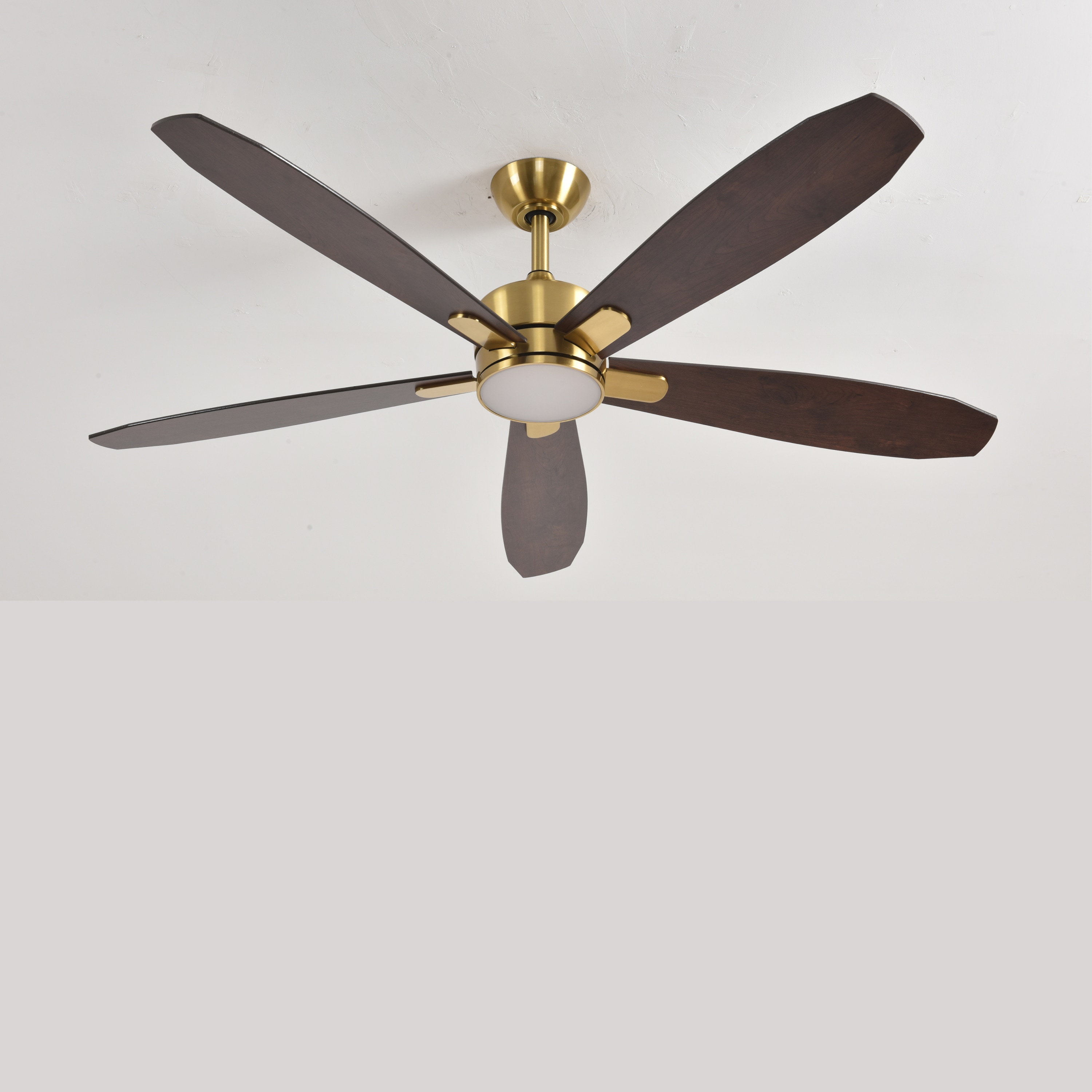ALTITUDE DRGFY56-MCPRBODCMTR Ceiling-Fans - View #18