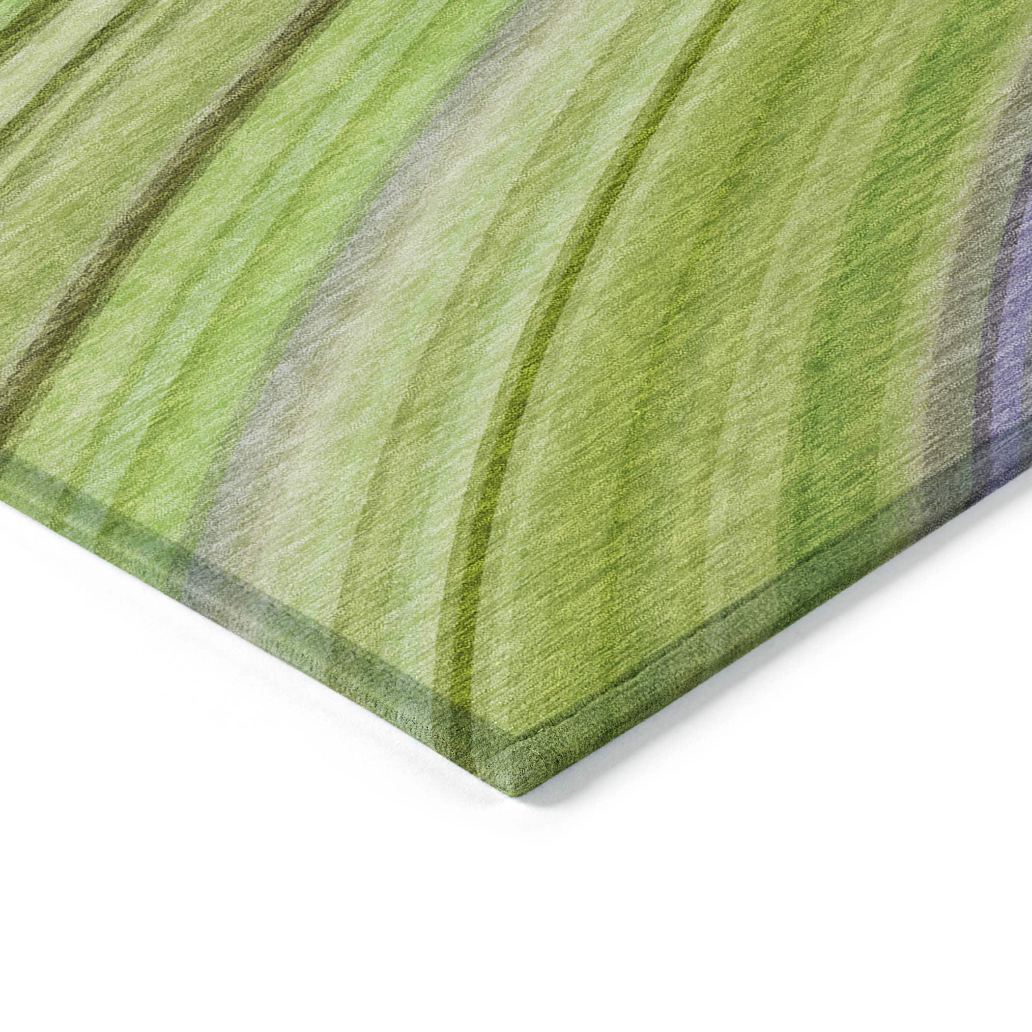 Addison Rugs ACN585AL5X8 rugs - View #4