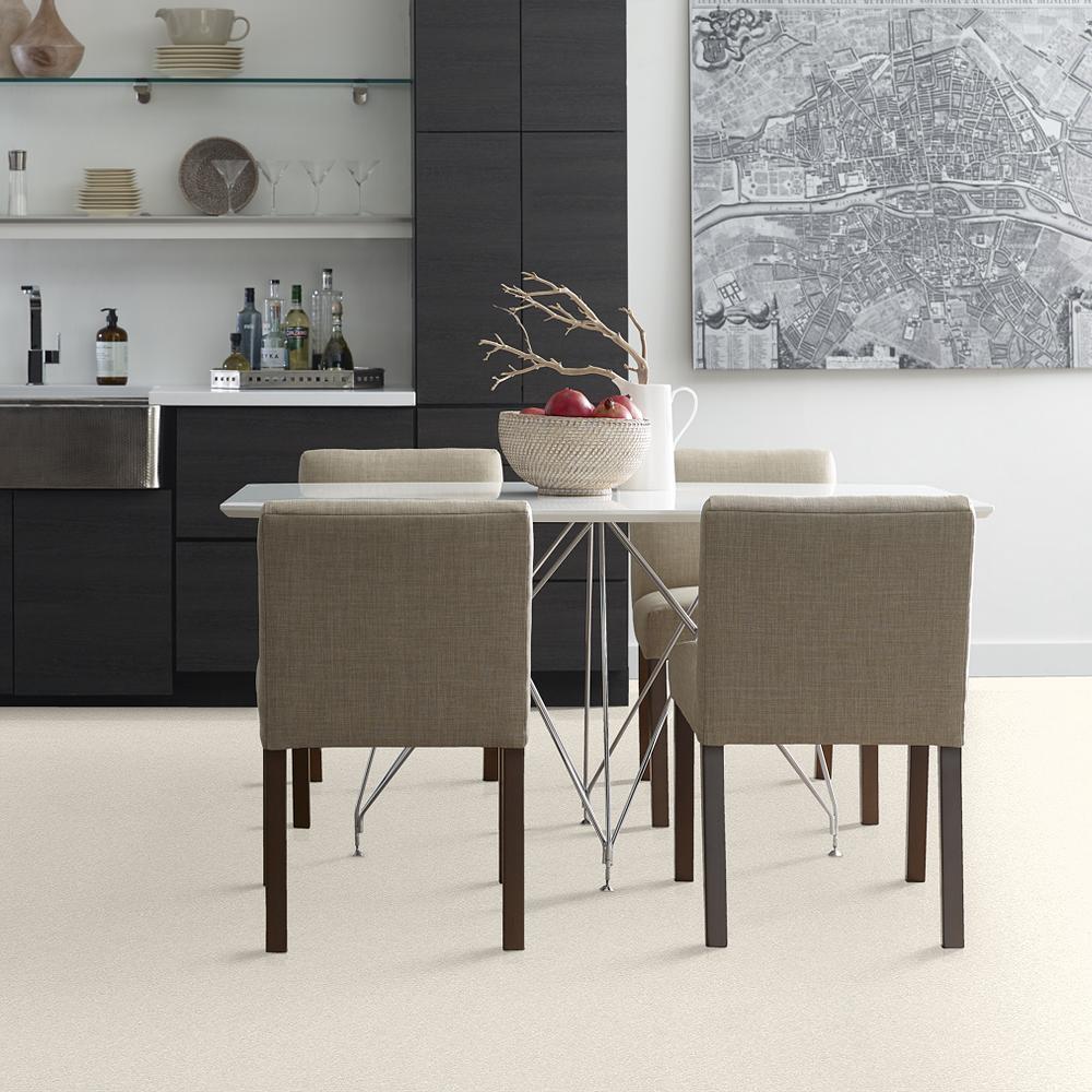 STAINMASTER 7L61100102  - View #3